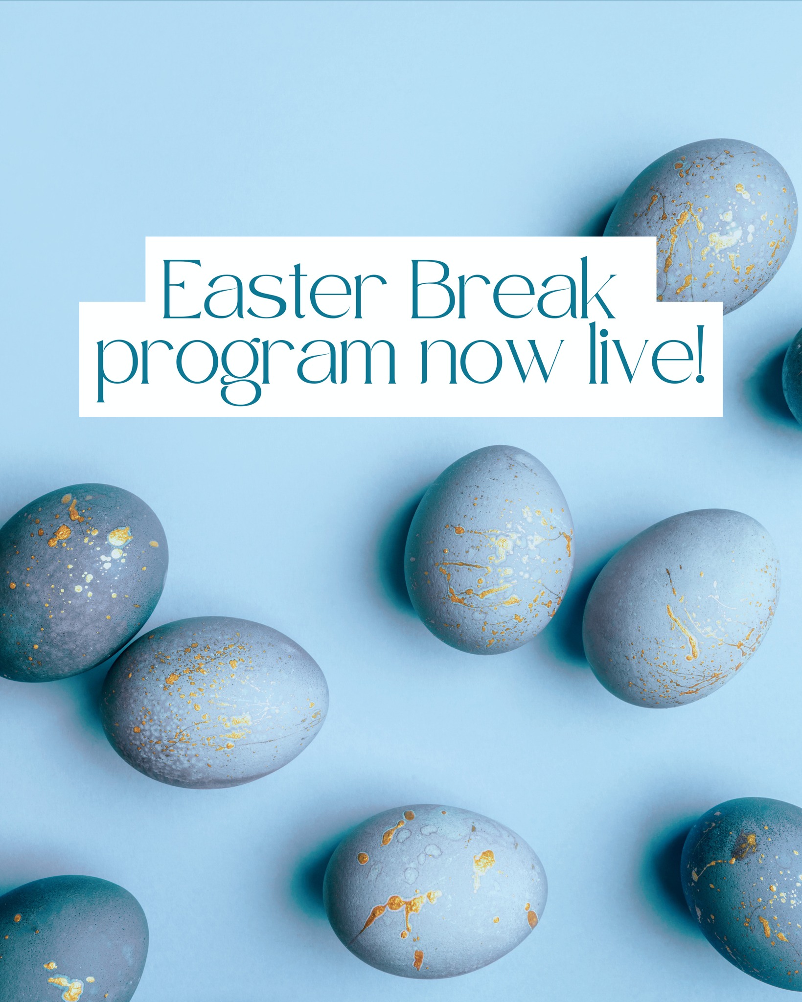 Wie die Zeit vergeht! Nun steht schon bald wieder Ostern vor der Tür!🐣 Und für unsere TeilnehmerInnen haben wir wieder ein Osterferien-Programm vorbereitet🐰🩰 Schaut gerne auf www.rosenthal-ballett.de/ferienprogramm nach unserem Osterplan 🌷 Wir freuen uns sehr, wieder die Ferien mit euch zu vertanzen!🫶🤗