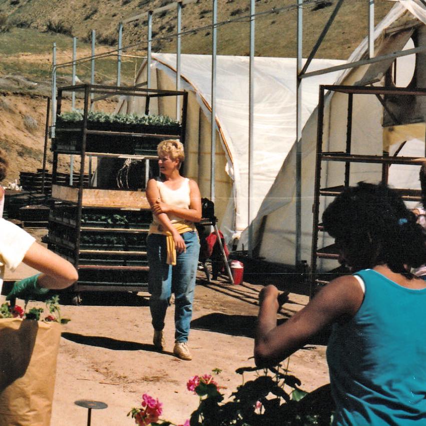 Throwback Thursday! Here is a typical loading day way back when. Pictured is Ellen Ward (center) David’s wife, who now manages most of our employees, planting and shipping. Also pictured is Shauna (bottom right), Orpha and Jack’s daughter. Circa 1980’s.