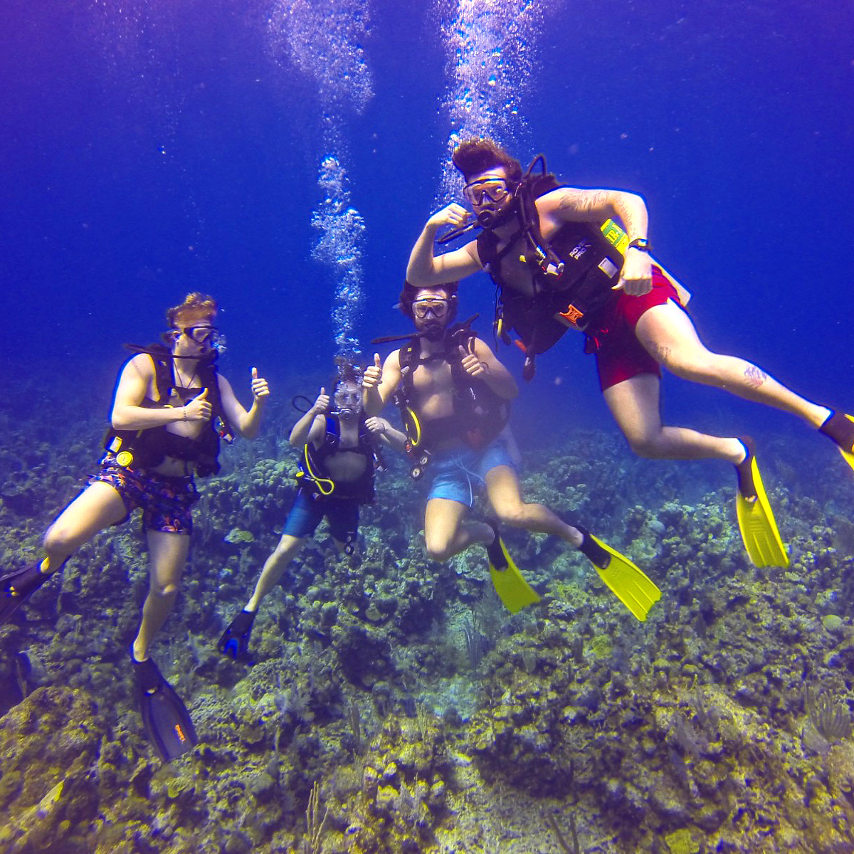 Ever wanted to breathe underwater and see Roatán’s reef up close? The Discover Scuba Dive is the perfect way to try scuba for the first time.
No experience is needed. You’ll start with simple, step-by-step instruction from a professional, then head into the water for a guided dive in the calm, clear Caribbean. It’s beginner-friendly, safe, and one of the most unforgettable experiences you can do on the island.
If you’re visiting Roatán and want a real adventure, message me “DISCOVER DIVE” and I’ll help you set it up with the best time, location, and what to bring. Spots can fill quickly, especially on busy cruise ship days.
#Roatan #DiscoverDive #ScubaRoatan #RoatanHonduras #ThingsToDoInRoatan #CaribbeanAdventure #RealDealRoatanTours