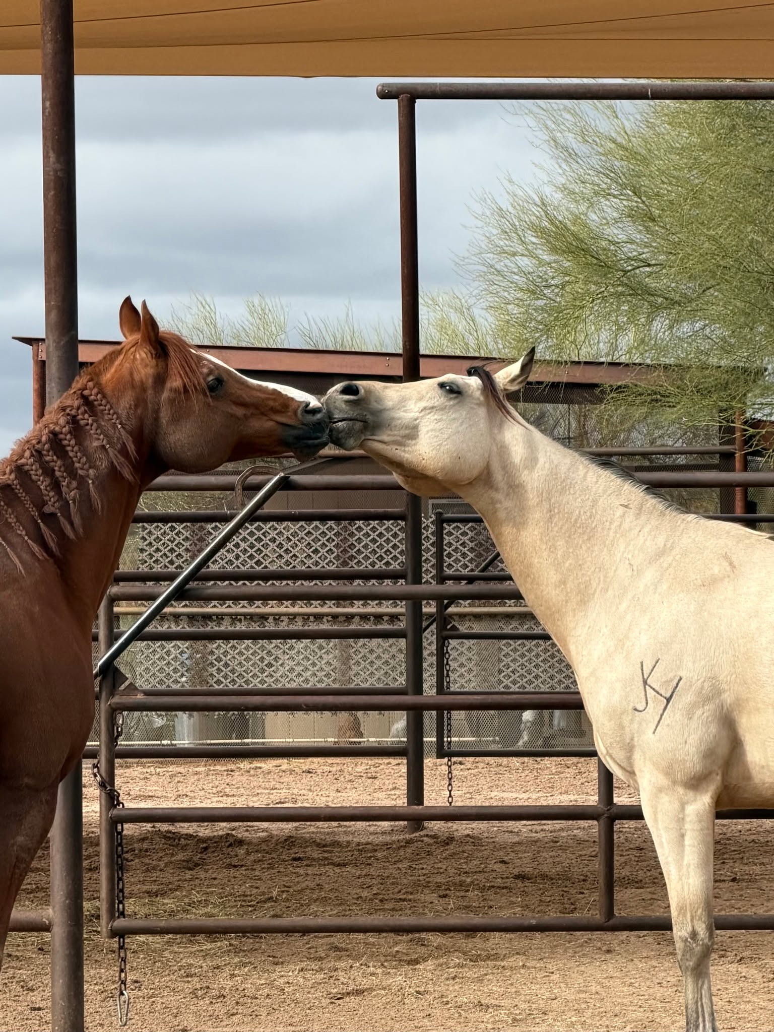 Valentines day isn't the only time to show affection...