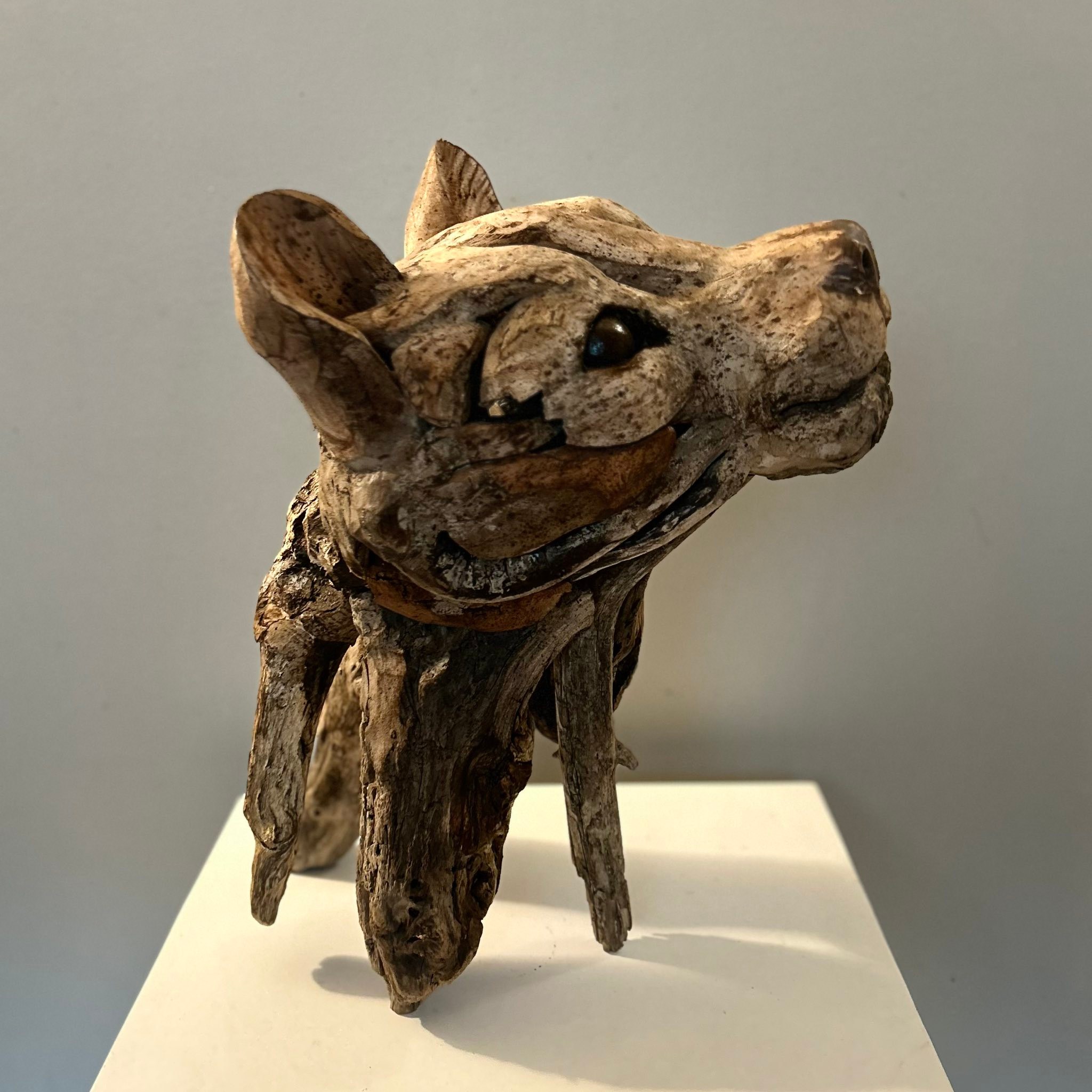 Voici Arthur Junior qui sera avec moi en Suisse
Pour ceux qui ont l’intention de venir me voir en Suisse n’hésitez pas à me contacter pour que je les notes sur la liste d’invité 🥰😉