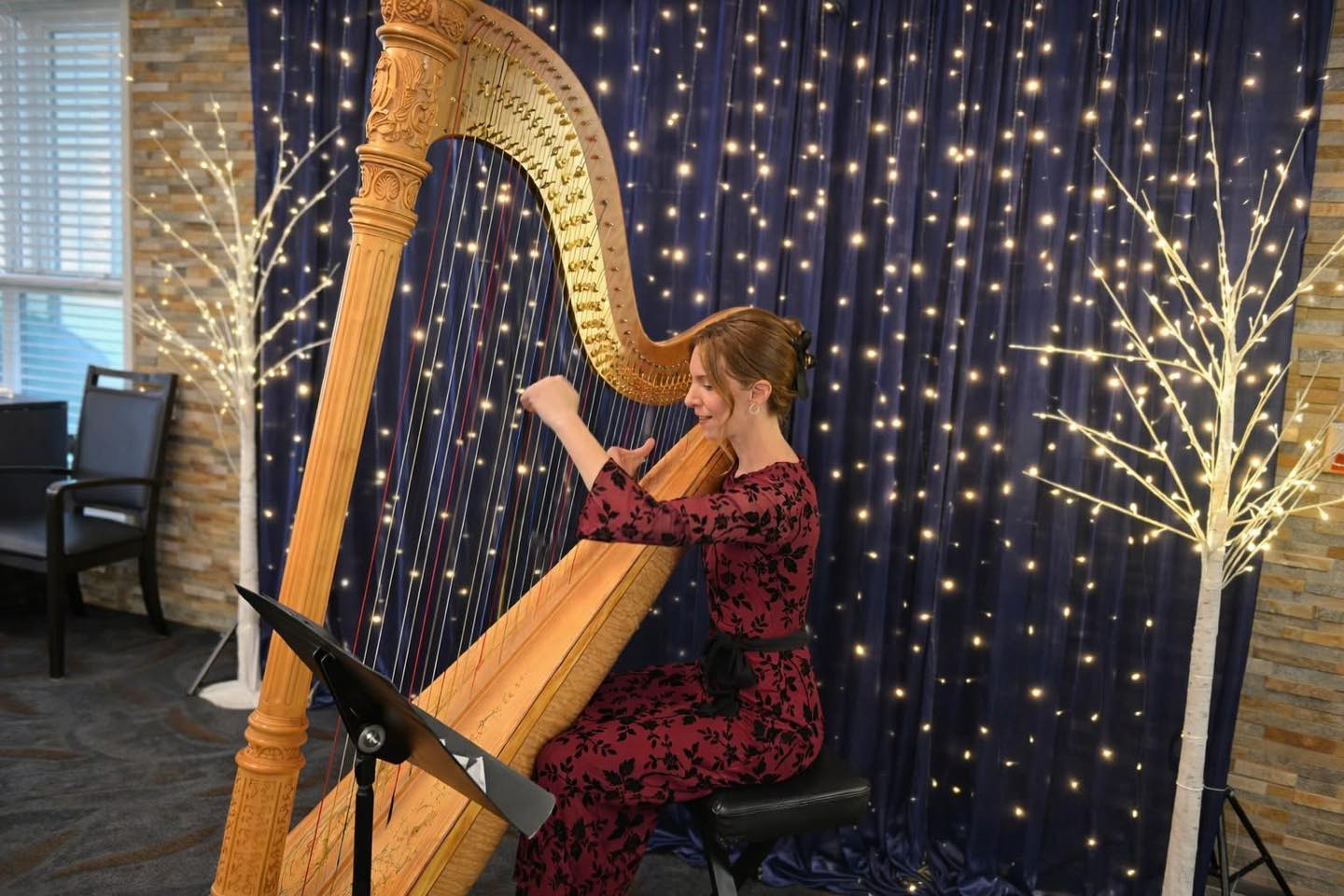 Something magical about live harp music and twinkle lights. ✨
#harplife #harp #columbusharpist #columbus