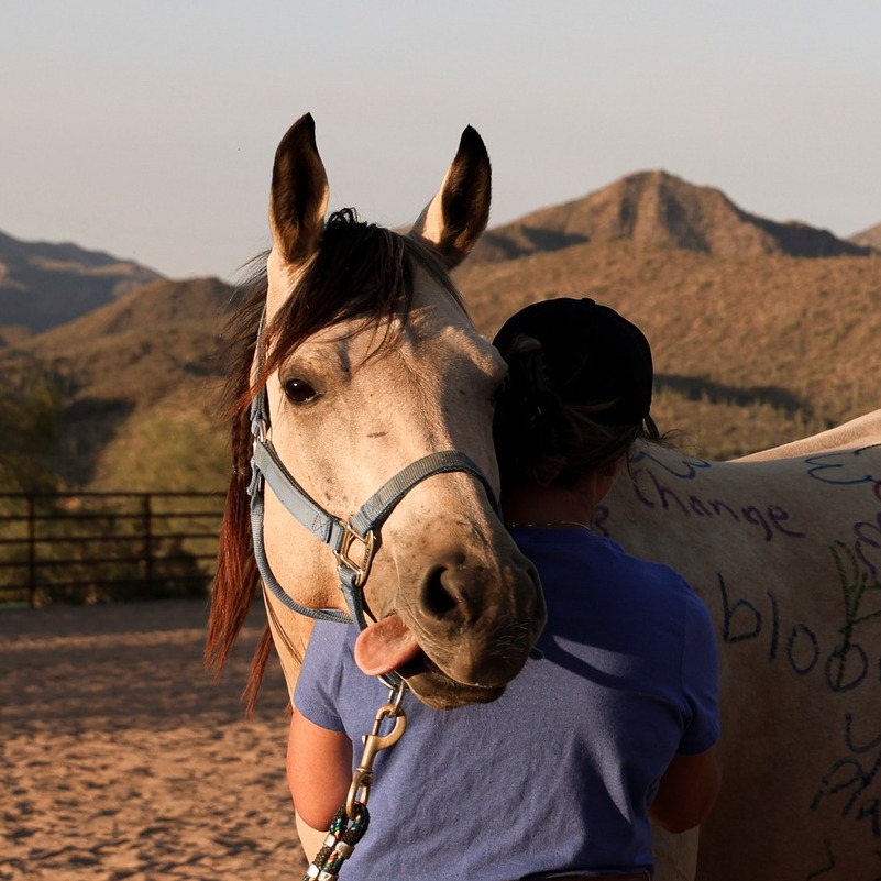 Clyde's smile is our favorite feature. He's always posing for the camera, especially when he's getting to be the center of attention.