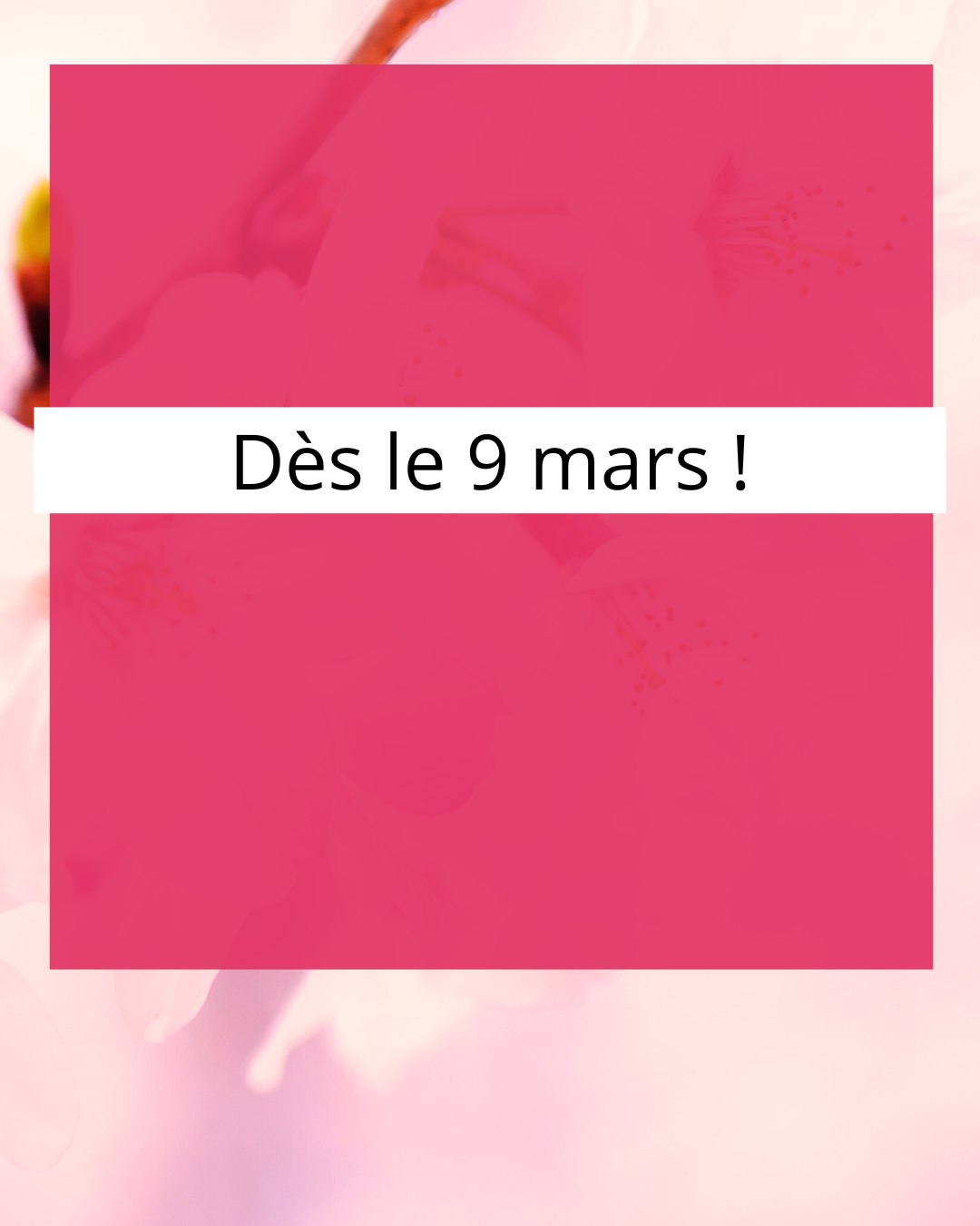 Quel est le produit éphémère tant attendu qui revient à chaque printemps ???
À Espace Organique dans le Vieux-Longueuil dès le 9 mars.