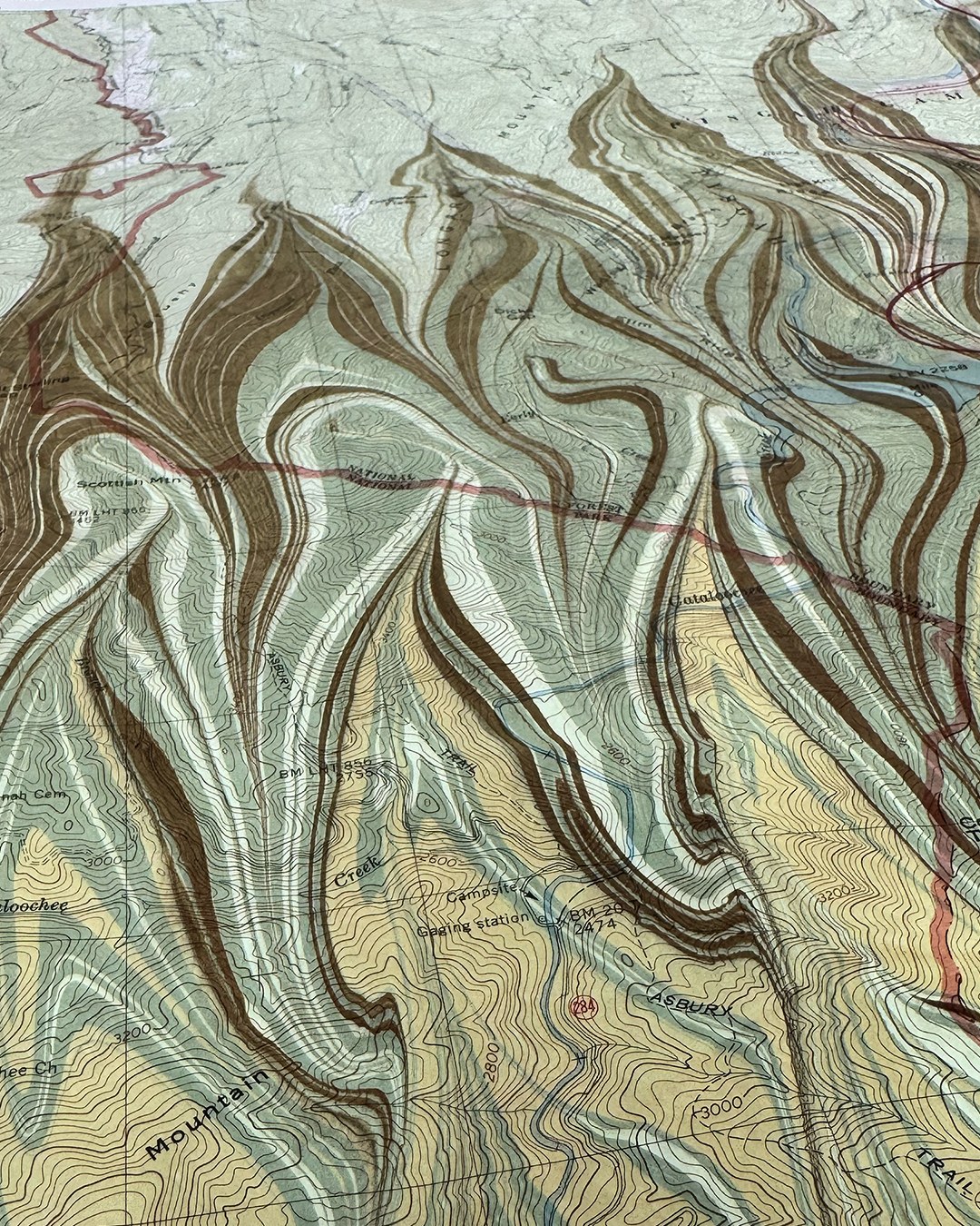 “COVE CREEK” (detail) marbling on vintage topo map
Going in May, colors of blooms carpet the forest floor and shrub layer – Trout Lily, Pink Lady Slipper, Mountain Laurel, Galax, and the native orchid, Rattlesnake Plantain. Hearts-Bursting-With-Love (or Hearts-a bustin’) has non-showy spring flowers, but its bright red berries burst forth in a spectacular fall show. Blueberry bushes were all along the trail, as well, so timing this hike in summer would yield a tasty treat.
#BlueRidgeMountains
#AppalachianArt
#MountainInspiration
#MarblingArt
#PaperMarbling