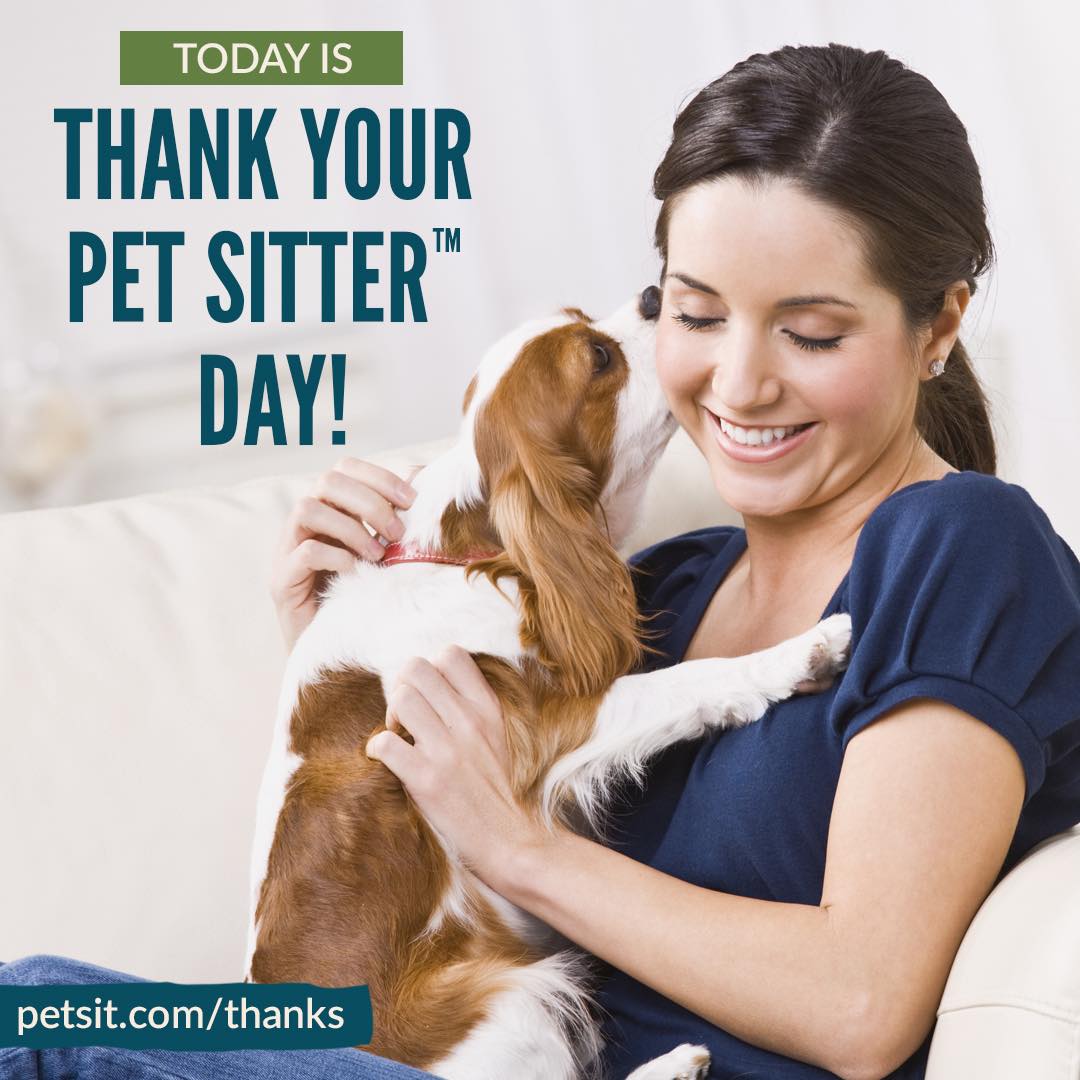 March 4th has traditionally been Thank your Pet Sitter Day! We hope all of our pet sitters feel appreciated this day, and every day for all the work they do!! If there is anything you want to thank your pet sitters for, just let them know! I'm sure they will love to hear! #dogsitternearme #petsitternearme #dogwalkernearme #keckshaven #ofallondogwalker #petsarethebest #wentzvillepetsitter #bestpetparentsever #petsitterslife #newemployeesrock #PetSittersWeek #appreciateourpetsitters #loveourpetsitters #clientsrock #dogsoflakestlouis #wentzvilledogwalker #lovenewclients #fearfreepetsitting #petbusiness #dogsofofallon #psi #dogsofwentzville #petsitter #dogwalker #bestpetever #petsareourbusiness #keepingthemsafeathome
