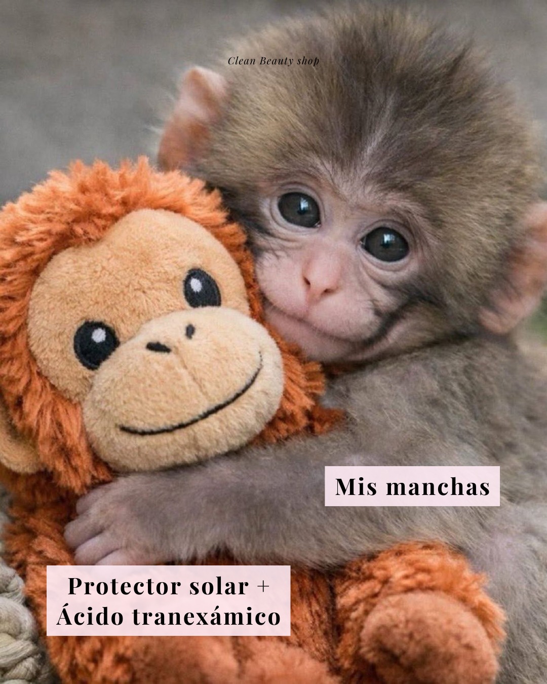 Si algo nos enseñó #Punch es que todo mejora con el abrazo correcto… y en la piel también pasa
Si tienes manchas, este es el dúo que realmente hace la diferencia:
☀️ Protector solar: evita que se sigan pigmentando y que el tratamiento falle
✨ Ácido tranexámico: ayuda a disminuir la hiperpigmentación y unificar el tono
Porque tratar manchas sin protector es como soltarle el abrazo a Punch… simplemente no funciona 🫠
Constancia + productos correctos = resultados reales
¿Ya estás usando este combo en tu rutina? 💛
#Manchas #ProtectorSolar #AcidoTranexamico #SkincareTips #Cuidadodelapiel