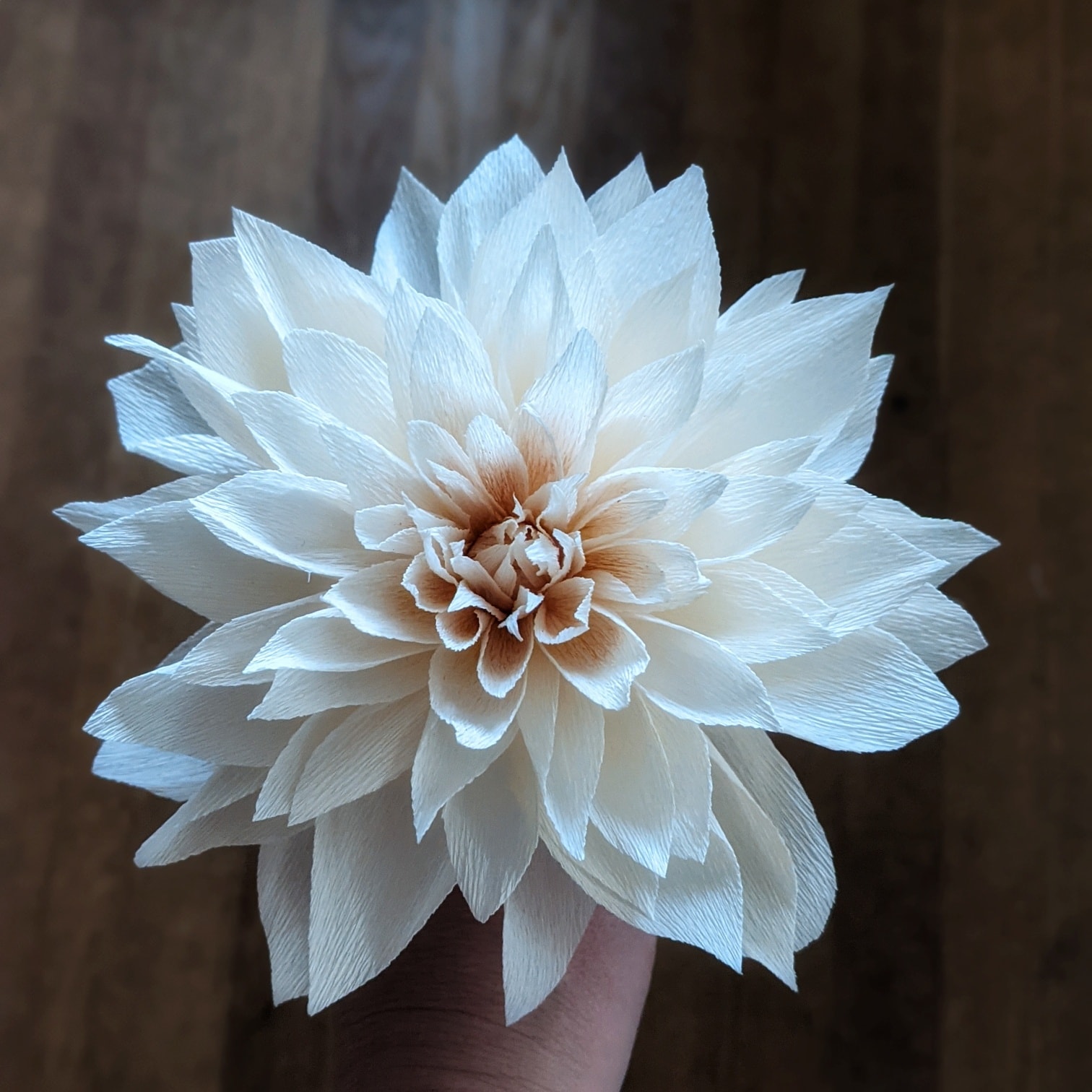 Some flowers have lots and lots of petals. I hand cut all petals with my trusty pairs of scissors!
So, some days, I don't actually make any flowers - all I do is cut petals and more petals. And that's true with my current project where I've spent the last few days cutting petals since I estimate I need 2500 petals ... Wish me luck!
#paperflowers #petals #dahlia #crepepaper