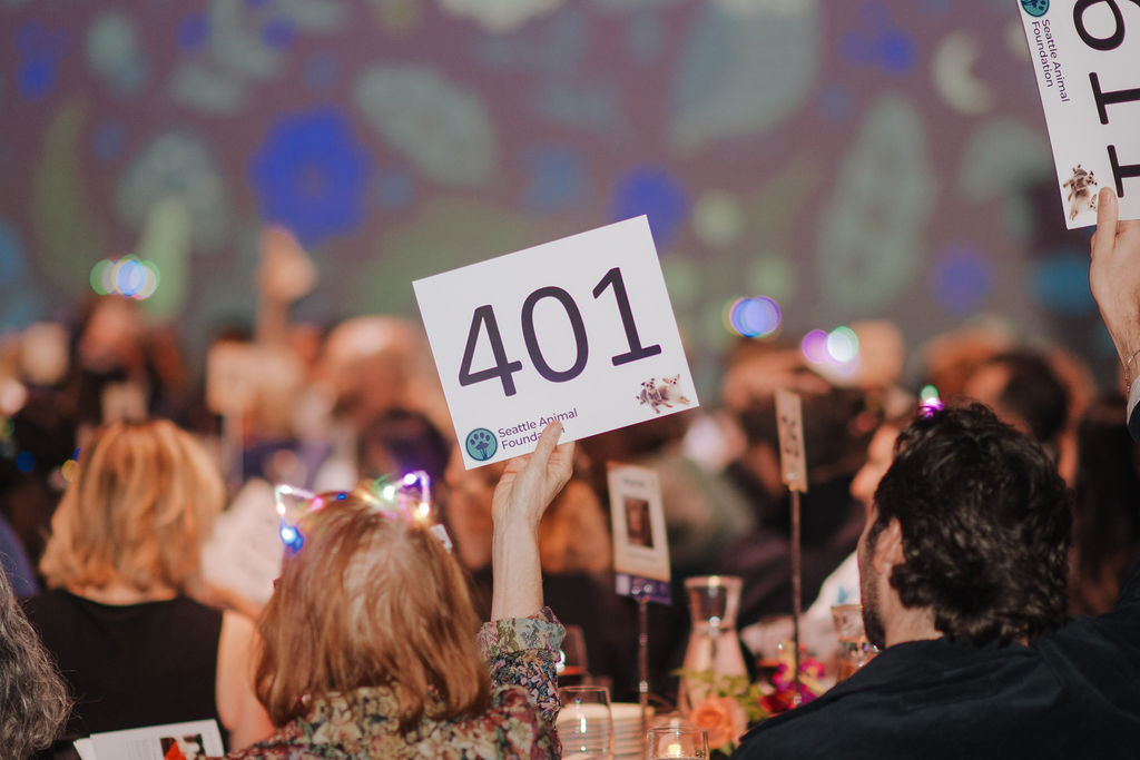 ✨ Client Love ✨
We’re so grateful for the kind words from Jim Cox, Executive Director of the @seattleanimalfoundation
“From initial planning through to the big night the experience was overwhelmingly positive… Our gala represents a high percentage of our overall annual fundraise and the GFS team was there for us every step of the way. We did not merely meet but exceeded our goals and highly recommend GFS to anyone looking assistance with event management.”
Helping produce a year-end gala that plays such a critical role in an organization’s fundraising strategy is something we never take lightly. We’re proud to partner with teams who trust us with moments that truly matter. 💛
#gfsevents #nonprofit #nonprofitfundrasing
📸 TNP Photography