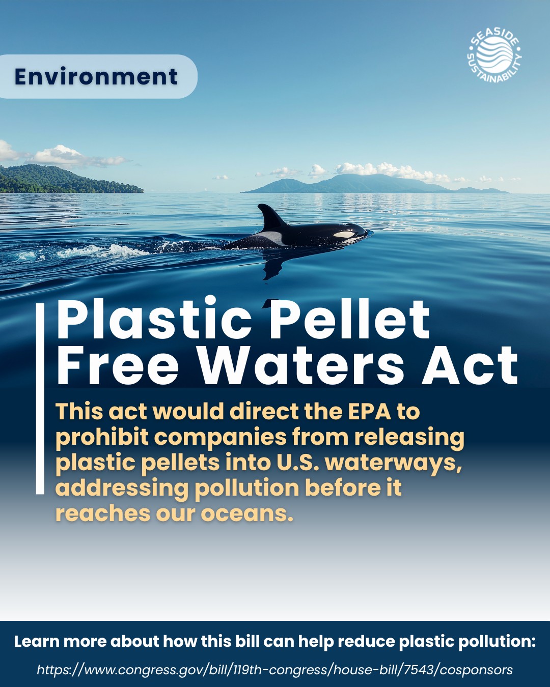 More than 400 million tons of plastic are produced each year. Plastic pellets, the tiny raw materials used to make plastic products are a major source of pollution when they enter our waterways.
The Plastic Pellet Free Waters Act aims to prevent pellet discharge into U.S. waters and address this gap at the source.
Learn more at congress.gov and stay informed about solutions that protect our oceans.
#PlasticPollution #OceanProtection #seasidesustainability #plasticpelletfreewatersact