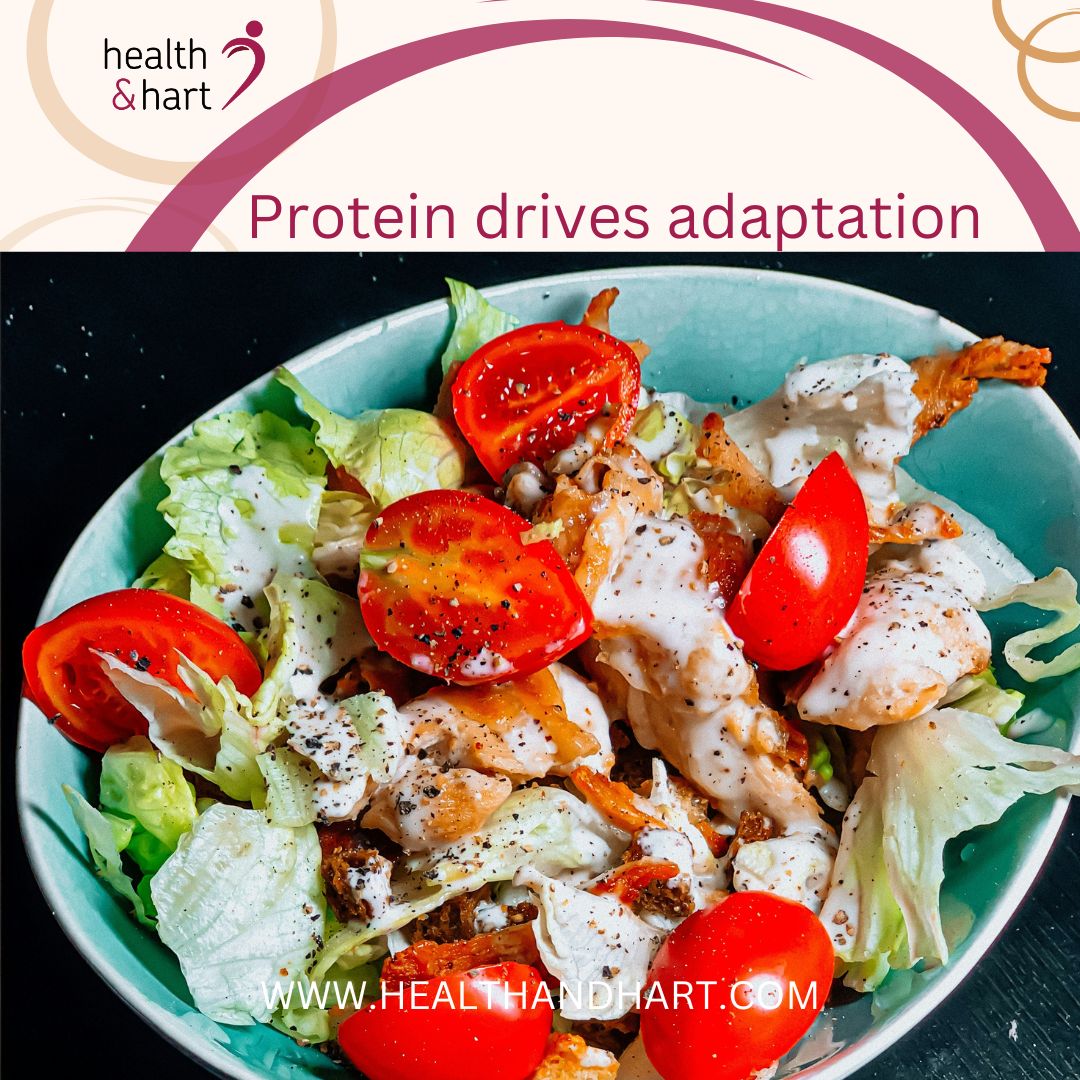 'Protein drives adaptation', but what does that mean?
Does it just mean 'Eat more protein?'
Training creates microscopic muscle damage and metabolic stress. Your body responds by rebuilding stronger tissue and that rebuilding process is called adaptation. Protein turnover is the constant breakdown and rebuilding of body proteins. Training increases this rate.
If you don't have enough protein, there's more breakdown than repair - is that why those muscles aren't growing, performance and recovery are suffering?
Foods that are good sources of protein include eggs, dairy, chicken, turkey, fish, seafood, lean red meat, beans, lentils, chickpeas and tofu. There may be pros and cons to some of them for your personal diet - some are higher in saturated fat, some in carbohydrates. That's where working with me really helps as we understand what you need, and how it fits your daily life.
So yes many of you need to 'eat more protein', but what you eat, when you eat it, and whether you're digesting it well are key focus areas in a sports nutrition consultation.
Book via the Bio or www.healthandhart.com (Nutrition Refresh - free call).
#ProteinIntake #MuscleRecovery #EnduranceAthlete #PerformanceScience