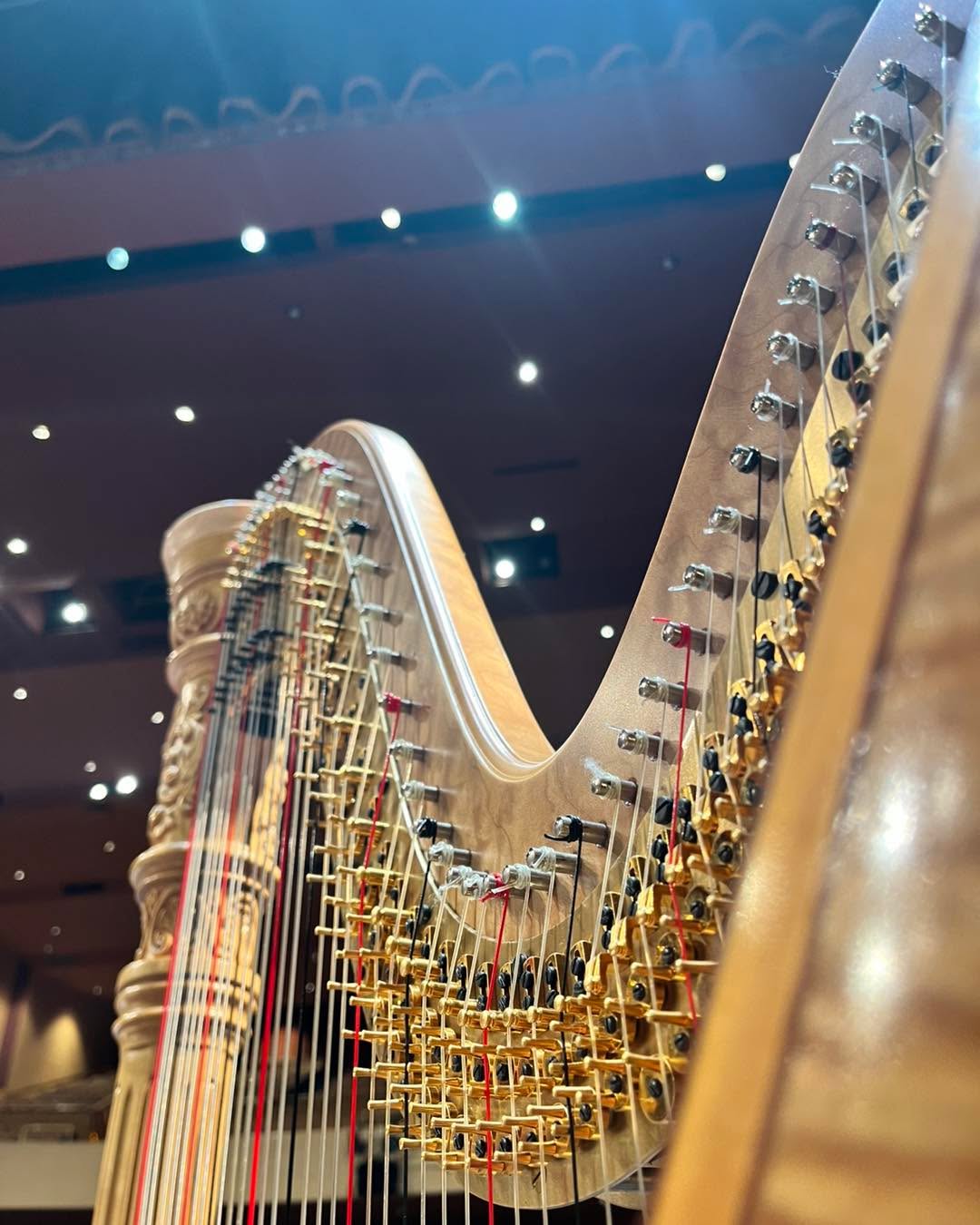 Up close and personal with 47 strings 🤩
Rehearsal tonight at Cowan Hall with Westerville Symphony.
#HarpLife #WestervilleSymphony #CowanHall #OrchestraRehearsal #Harpist #PedalHarp #SymphonyLife #BehindTheScenes