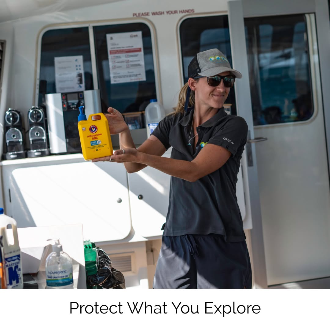We provide reef-safe sunscreen on all tours — because protecting Ningaloo Reef matters as much as exploring it. 🌊
Small choices. Big impact.
#OceanEcoAdventures #NingalooReef #CoralBay #Ningaloo #WesternAustralia #seeaustralia #exmouth #exmouthwa #WhaleSharkSeason #WhaleSharkTour #MarineWildlife #OceanLovers #SwimWithGiants #WildlifeExperience #ReefSafe #ProtectOurReefs #SustainableTourism #ecotourismaustralia #TravelWithPurpose #whalesharkswim #whaleshark