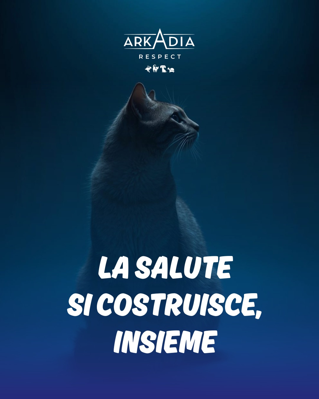 La salute non è qualcosa che accade per caso.
Si costruisce nel tempo 🕰️, con controlli regolari 🩺, visite periodiche e prevenzione costante 🧪🐾.
Ogni vaccino 💉, ogni check-up 🩻, ogni attenzione in più è un passo verso una vita più lunga e serena ✨.
Noi di Arkadia siamo al vostro fianco in questo percorso 🤝.
Perché la prevenzione è una scelta consapevole 💙.
E ogni scelta d’amore fa la differenza 🐈⬛🐶.
#ArkadiaVetClinic #MedicinaPreventiva #Prevenzione #AmoreResponsabile #Cassino