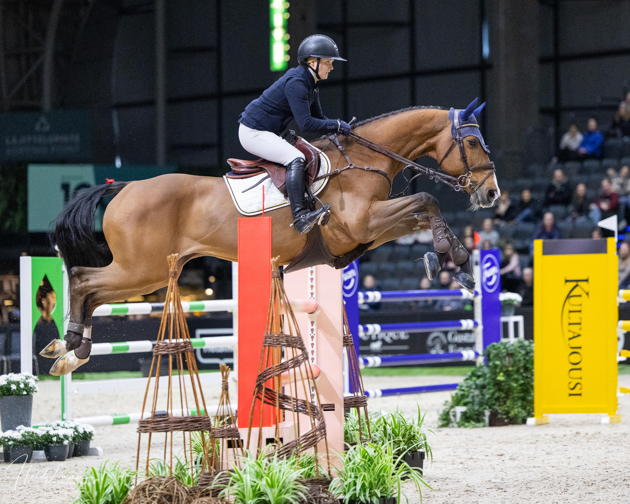 HIHS 2026 🔥
Kuvasin tänään:
⭐️Small Tour dressage
⭐CSI 135cm
⭐Talent of the year
⭐Amateur tour 80cm taitoarvostelu
⭐Pohjola Small 115cm
⭐Pohjola Bronze 125cm
⭐Kouluratsastusklinikka
Kaikista muista luokista on sekä kuvia että videoita, paitsi amateur tour 80cm luokasta vain kuvia.
https://www.heidilammi.com/kuvat/2026/Helsinki+International+Horse+Show+26.2.-1.3.2026/
Materiaalit tulee esille mahdollisimman pian.