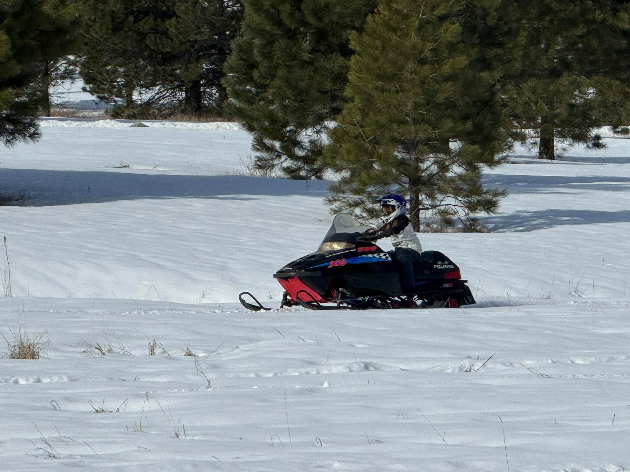 Parker in the pasture taking after Papa ❤️🪄✨🌈