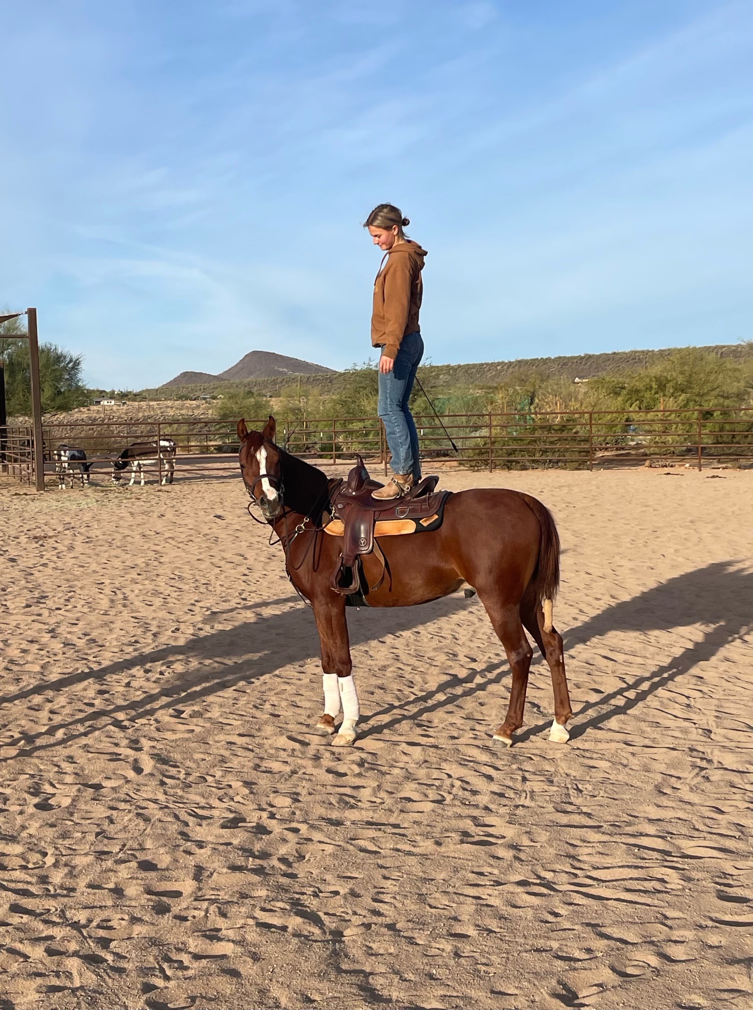 Happy 6th Birthday to (not so little anymore) Baby Rio! The last three years have gone by so fast!