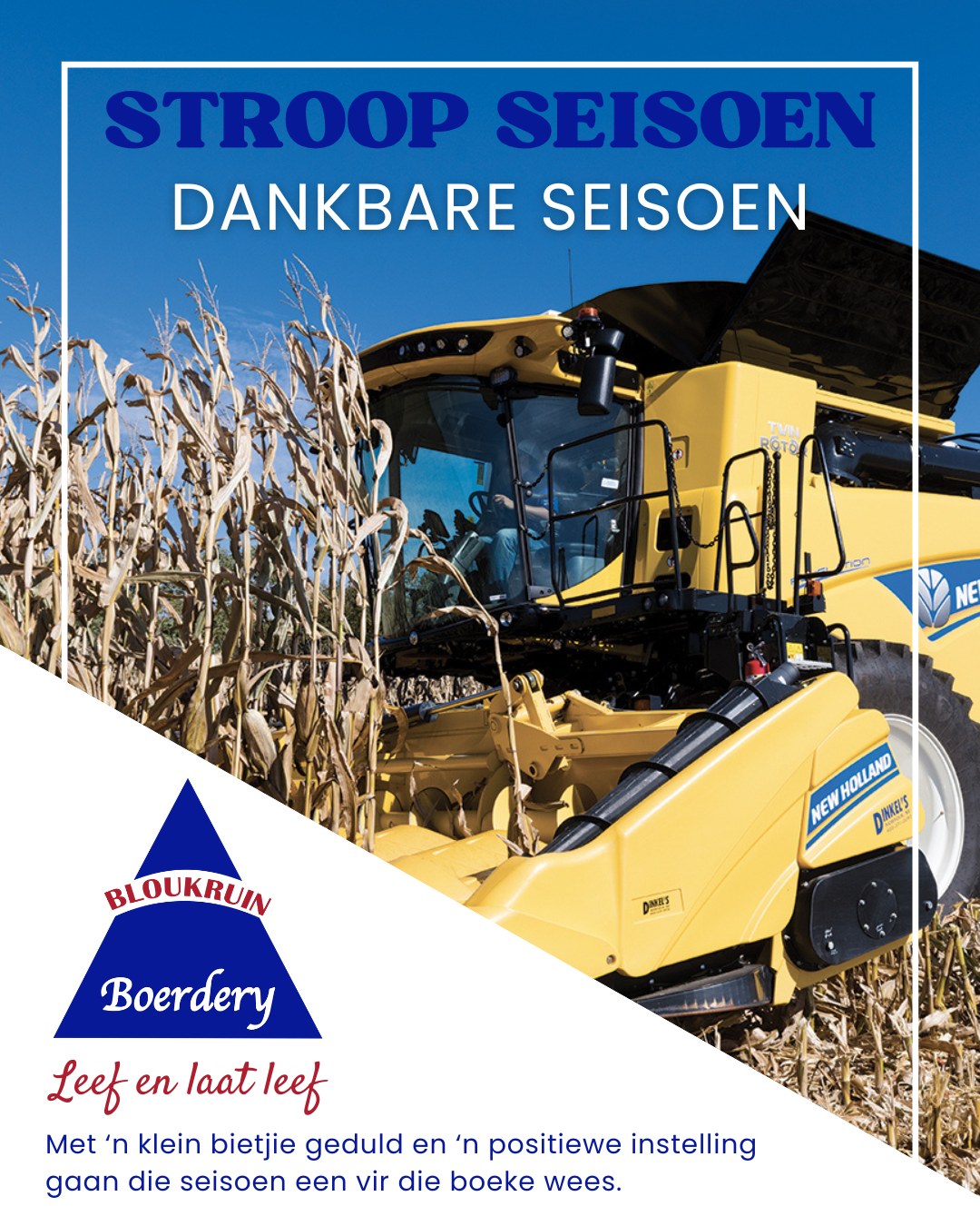 Die stroopseisoen is op die punt om af te skop hier by Bloukruin Boerdery, en ons sien met dankbaarheid uit na dit wat voorlΓͺ.π½
Elke land, elke trekker en elke hand speel βn rol om die oes betyds en met sorg in te bring. Dis βn tyd van fokus, samewerking en harde werk.πͺ
Dis nie net boerdery nie, dis βn ritme van lewe. En ons is dankbaar om elke dag deel daarvan te wees.
#BloukruinBoerdery #Stroopseisoen #BoerderyMetDoel