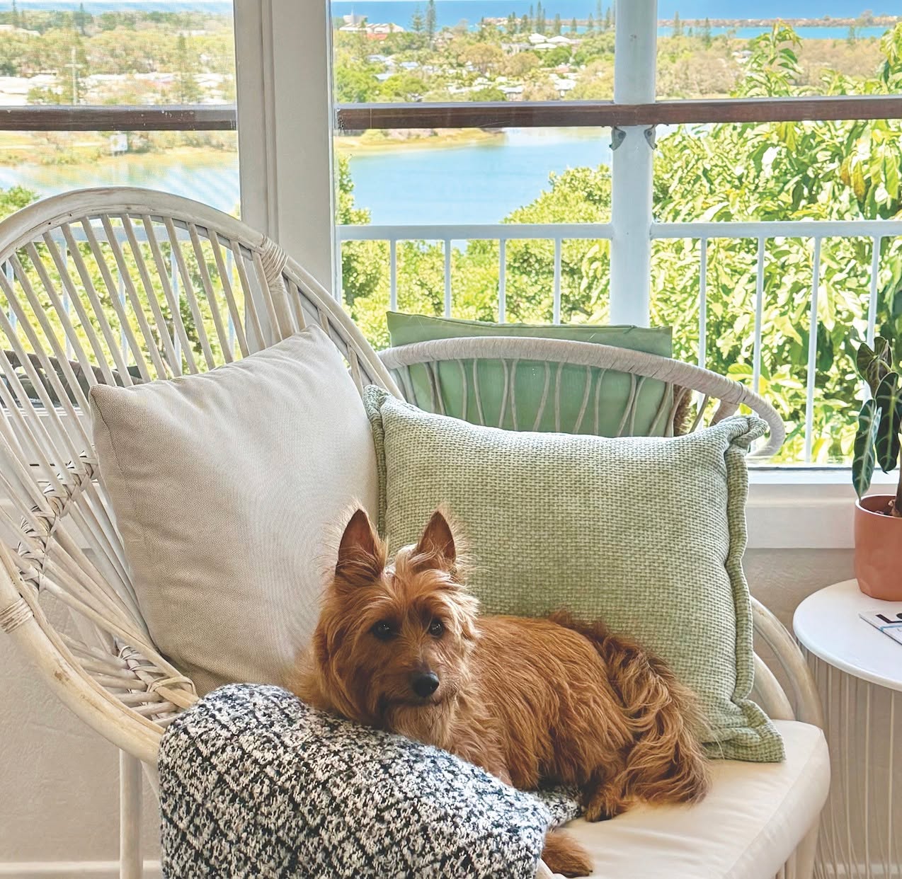 Time to pack your bags — our Home Sweet Holiday guide is here! Discover the best holiday homes across the Northern Rivers and Gold Coast, from waterfront apartments in Ballina to luxe coastal stays in Kingscliff and adults-only escapes in Byron Bay. Perfect for family getaways, friend trips, or solo retreats, these homes bring comfort, style, and that “home away from home” feeling.
Featuring @lazydaysonshawsbay @kingscliffholidayhomes @28degreesbyronbay
Head to the link in bio to read the full story and start planning your next escape ✨
#HomeSweetHoliday #NorthernRiversNSW #GoldCoastGetaways #StayLocal #HolidayMode #WeekendEscape #BeachRetreat #HinterlandHideaway #TravelAustralia #LocaleMagazine