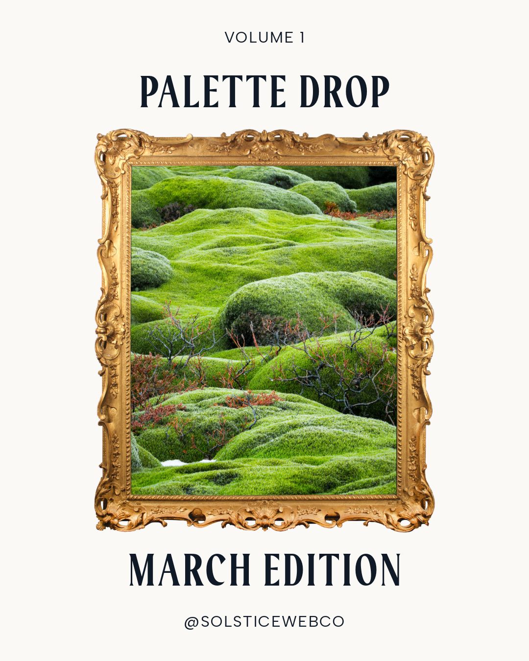 March Palette Drop - Vol. 1 🍀🌷🐛
#springblooms #branding #webcolors