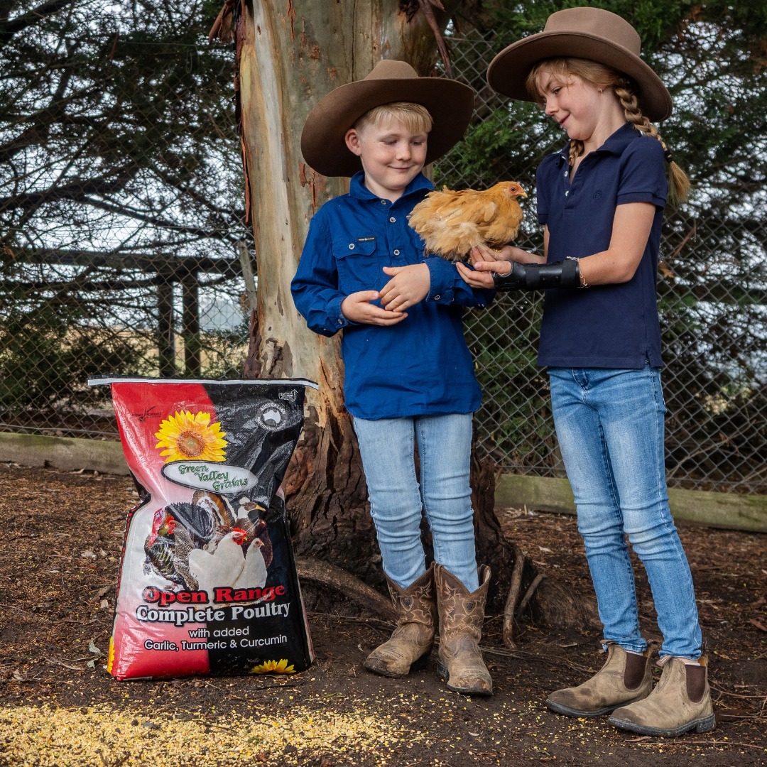 Prefer to feed 100% all natural & holistically.......Can it be done? Yes it sure can!
The Green Valley team created our Complete Poultry scratch mix to keep your tribe thriving from the inside out.
With added Garlic, Turmeric & Curcumin supporting their internal wellbeing.
Learn more all about this combination here:
https://www.greenvalleygrains.com/product-page/open-range-complete-poultry-mix-20kg
#greenvalleygrains🌾 #proudlyaustralianmadeandowned🇦🇺 #naturalchickenfeed #gvgcompletepoultry