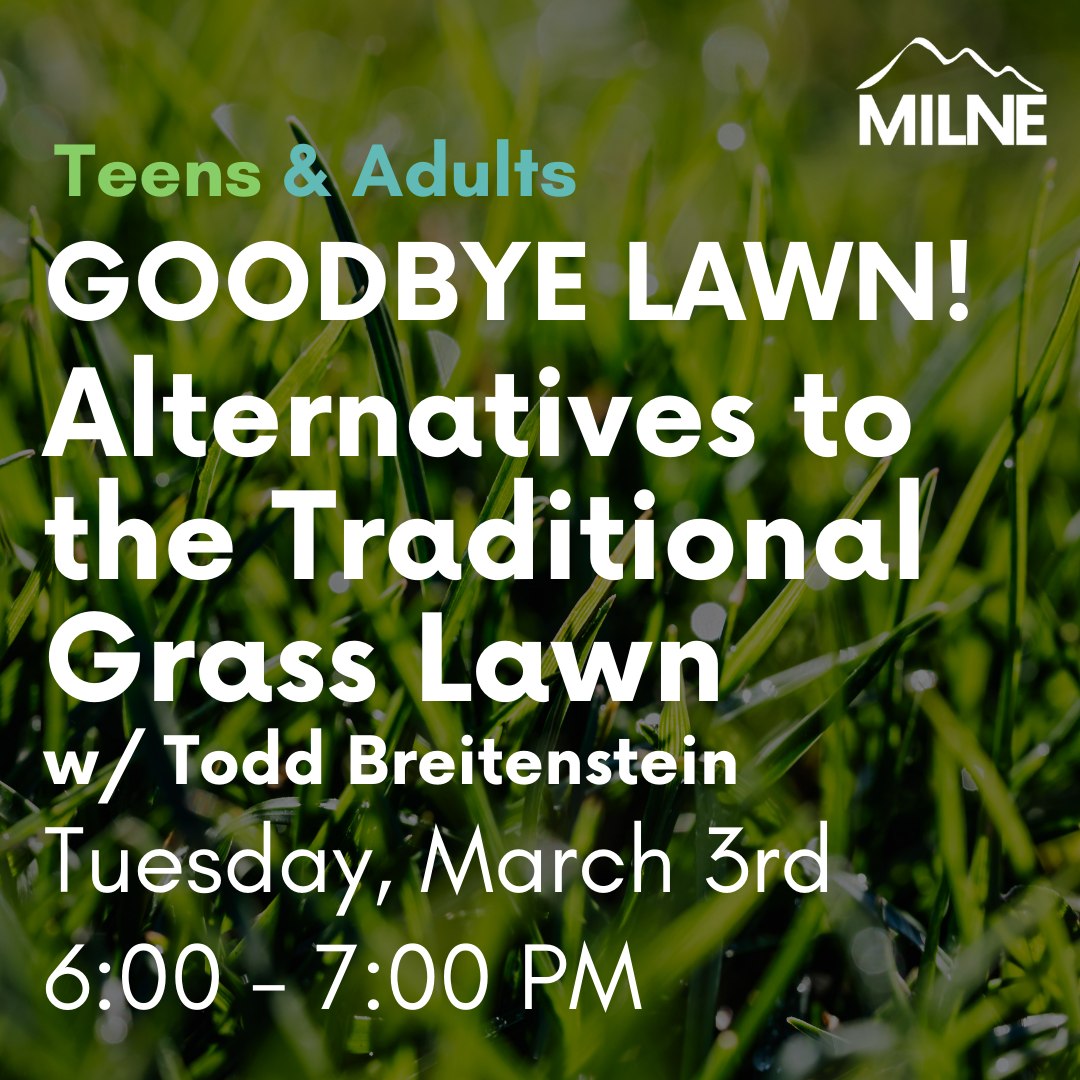 This week at the Milne (March 2 - 7). Join us for programs that’ll get you ready for Spring! View our full event calendar using the link in our bio or on our website at milne.librarycalendar.com
Image 1: Goodbye Lawn! Alternatives to the Traditional Grass Lawn w/ Todd Breitenstein - Tuesday 03/03 at 6:00 p.m.
Image 2: “Wild Hope: Building for Birds” Film Screening and Taking Action - Wednesday 03/04 at 6:00 p.m.
Image 3: Math Help w/ Mace Foehl - Thursday 03/05 at 4:00 p.m.
Image 4: Talk: Funeral Planning . . . for Those Who Don’t Plan to Die w/ The Funeral Consumers Alliance of Western Massachusetts - Friday 03/06 at 3:00 p.m.