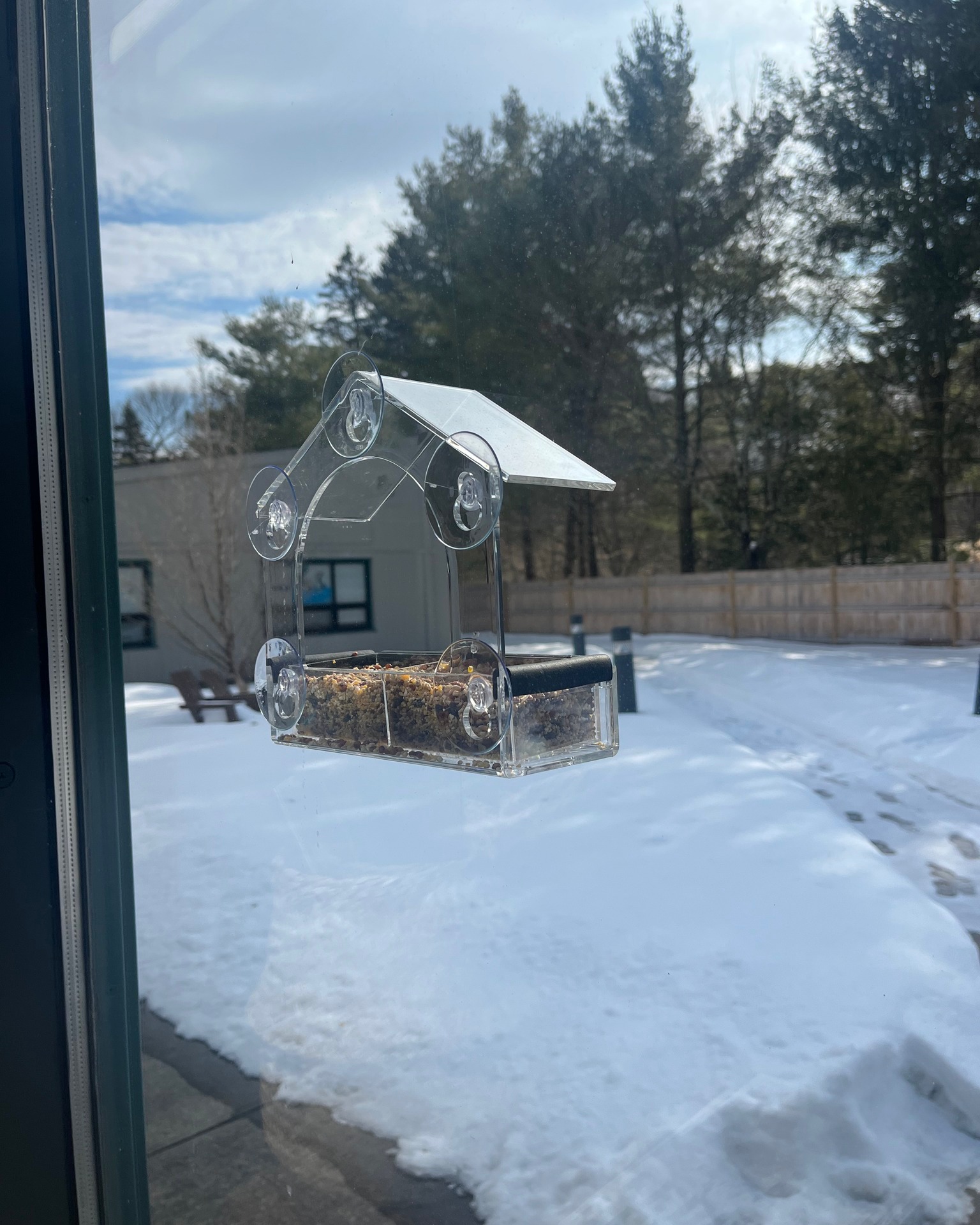 February was National Bird Feeding Month! 🐦 To celebrate, we have put up several bird feeders around the library grounds for our bird friends who are looking to stop by for a meal. Hopefully we spot some New England natives soon.
#library #birds #birding #birdfeeders #nature