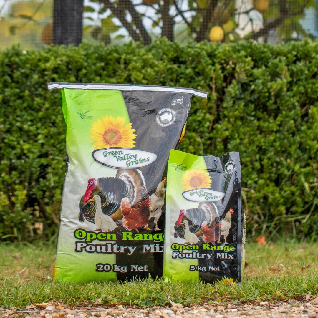 Are your cluckers the 'free ranging' kind and looking for wholesome nutrition for them to come home to roost to?
Our Open Range Poultry is the perfect choice for you 🐓
Made with super fresh & clean Aussie seeds & grains giving them everything they need after foraging the garden 🐛🐜🐞
#greenvalleygrains🌾 #proudlyaustralianmadeandowned🇦🇺 #naturalchickenfeed #chickensaspets🐓🐓🐓
