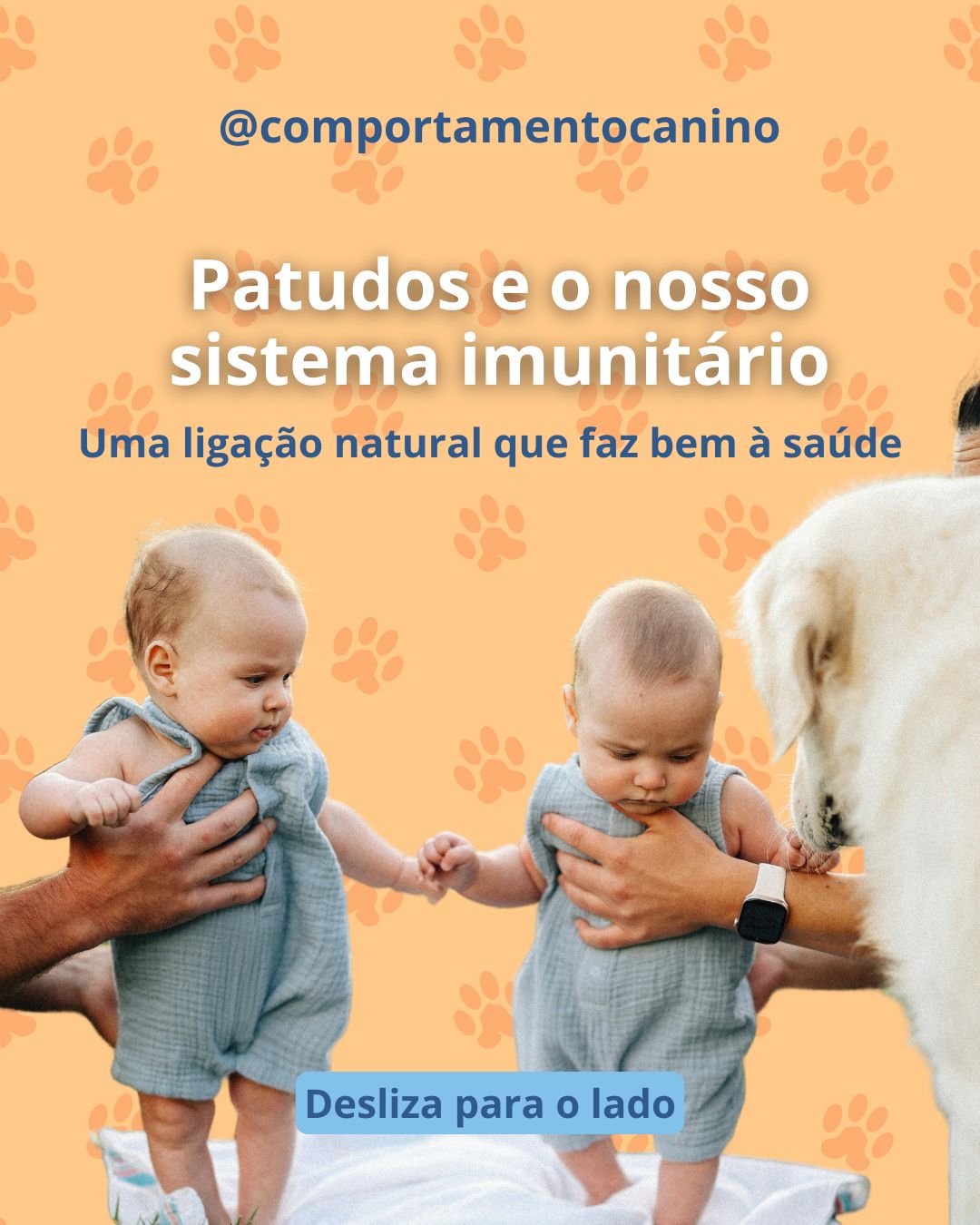 Os patudos fazem parte da família… e da nossa saúde também 🐾💛
O contacto com animais desde cedo pode contribuir para um sistema imunitário mais equilibrado e os benefícios acompanham-nos ao longo do crescimento.
Mais do que companhia, são uma presença que cuida de nós todos os dias.