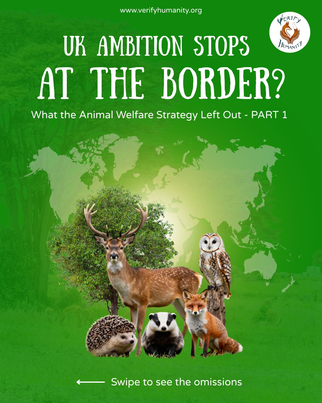 The UK Government's new Animal Welfare Strategy is making waves, but apparently, those waves do not reach our ports. Or our police stations. Let us explain. ๐
HUNTING TROPHY IMPORTS ๐ฆ
Remember that manifesto promise to ban trophy imports? Yes, the strategy does NOT. Animals are still being shot for "sport" abroad, and their heads are still welcome in UK living rooms. MP Navendu Mishra mentioned, "A recent survey shows that more than 80% of people support a ban. The Government should introduce a Bill as a priority."
DECAPOD & CEPHALOPOD FARMING ๐
The UK passed a law recognising octopuses, crabs, and lobsters as sentient beings. MP Kerry McCarthy specifically mentioned "World's first and only octopus farm in the Canary Islands" in the AWS debate. Likely plans to import dead octopus from this farm into the UK? We acknowledge their ability to feel pain, fear and hunger. Then we forgot to protect them from intensive farming.
IMPORT FUR๐ฆ
Foxes and rabbits are mere status symbols imported back into the UK. The MP Samantha Niblett mentioned, "A 2021 National Farmers Union survey found that 86% of respondents believe that animal welfare standards for imports should match those in the UK."
Our wildlife deserves better than selective ambition. Swipe to see what's missing, then help us make a difference.
๐ง Email your MP (they love hearing from you, promise)
๐ข Share this (guilt-free activism)
#UKWildlife #WildlifeCrimes #HuntingTrophyBan #ProtectWildlife #AnimalWelfareStrategy
SOURCES
Octopus Factory Farming: https://www.verifyhumanity.org/post/octopus-factory-farming
Animal Welfare Strategy: https://hansard.parliament.uk/commons/2026-01-21/debates/EC63BF37-555F-4ADB-94BD-266E8208D610/AnimalWelfareStrategyForEngland