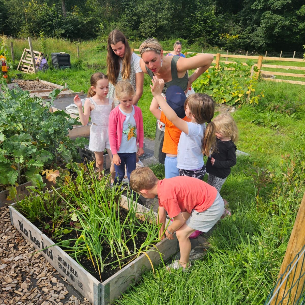 Slow wholesome Saturday mornings on the farm in Cartmel.
🌿Planting seeds.
🥚Collecting eggs.
🐓Feeding animals.
💛Learning patience, responsibility and kindness.
Book here >>>
https://www.allaboutalpacascartmel.com/book-online
This is Little Farmer Experience at All About Alpacas.
#farmlearning #natureplay #lakedistrictlife #alpacasuk #farmkidsuk #childhoodnature #kidsoutdoors #countrychildhood #farmvisits #visitcumbria