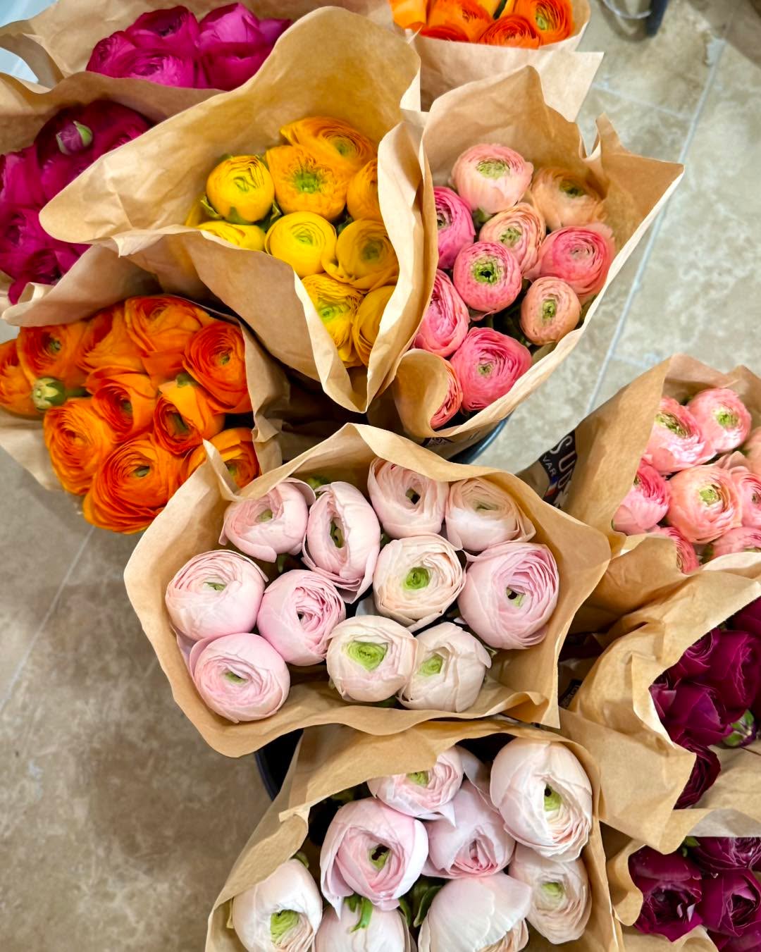 Je rentre de Rungis 🛒, et les belles renoncules françaises 💐 viennent d’arriver à la boutique ! ✨ Venez vite les découvrir, elles sont superbes ! 😍