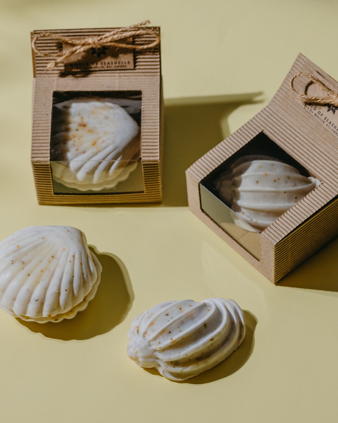 Notre boutique ðªž
Découvrez une sélection de bijoux inspirés des coquillages, de livres passionnants, de bougies artisanales, du café de Chamarel et bien dâautres trésors à emporter avec vous.
#WorldOfSeashells #BelOmbre #Mauritius #ExpérienceMusée #Local #Souvenir