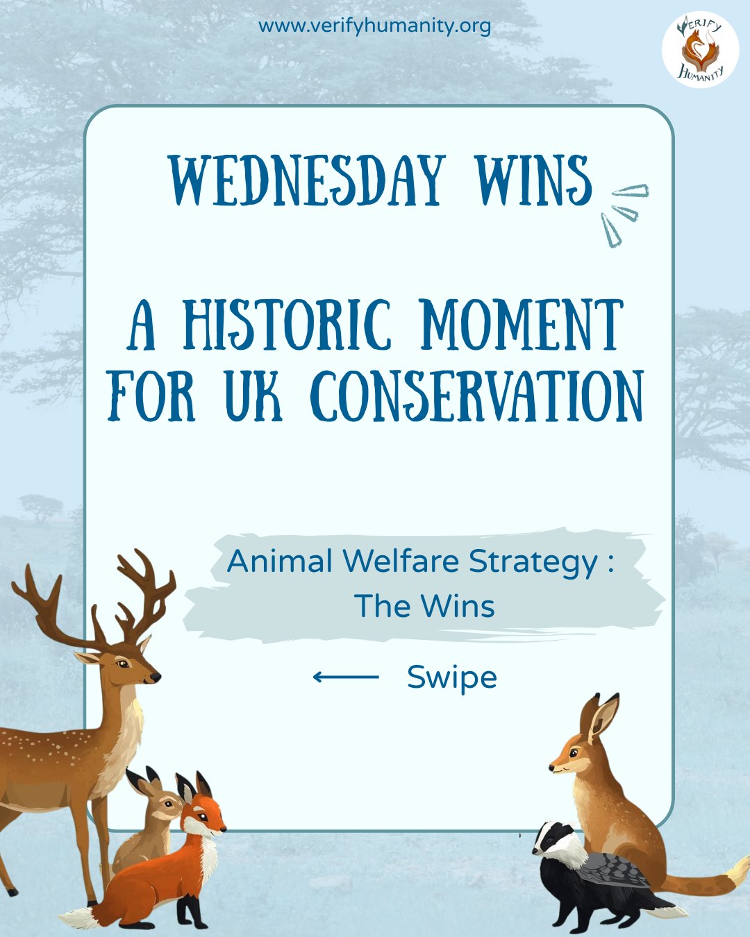 Although there are some real issues which we will cover in the coming days let's first celebrate what is actually in the strategy! Because credit where credit's due and these wins are genuinely historic.
TRAIL HUNTING BAN ๐ฆ
The smokescreen loophole is finally closing. No more using trail hunting as a cover for illegal fox hunting. The Hunting Act 2004 has just got teeth.
BAN ON SNARE TRAPS ๐ชค
A total ban on these indiscriminate killers is coming. No more suffering for target animals, non-target wildlife, or beloved pets caught in the crossfire.
CLOSED SEASON FOR HARES ๐
For the first time, brown hares receive a breeding-season reprieve in England and Wales from hunters. No more leverets left motherless. Finally!
STRONGER PENALTIES โ๏ธ
Wildlife crimes are being reviewed to match the five-year sentences for domestic animal cruelty. Because cruelty is cruelty, regardless of species.
This is a historic moment for UK wildlife rights. We're moving towards a future where our wildlife gets the respect and protection it deserves. Let's celebrate the wins and keep pushing to close the gaps. ๐
๐ข Share the good news
๐ฌ Tell us: which win matters most to you?
#WildlifeWin #AnimalWelfare #ConservationSuccess #TrailHuntingBan #ProtectWildlife
SOURCES
Animal Welfare Strategy: https://hansard.parliament.uk/commons/2026-01-21/debates/EC63BF37-555F-4ADB-94BD-266E8208D610/AnimalWelfareStrategyForEngland