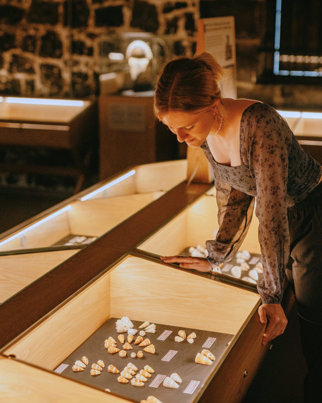 What if seashells could tell their story? ð
Behind every shape, every pattern and every colour lie centuries of evolution and a fascinating history.
At World of Seashells, come discover their origin and their role within marine ecosystems.
For bookings, contact us at reservations@worldofseashells.mu or call 623 7984.
#WorldOfSeashells #BelOmbre #Mauritius #OceanStories