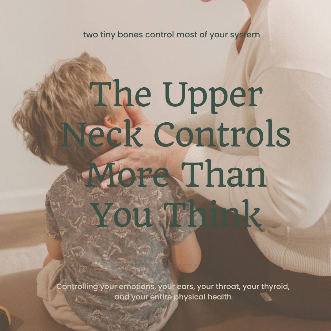 The upper neck controls more than you think. C1 and C2 - two tiny bones protecting your brainstem - affect your emotions, ears, throat, thyroid, and entire physical health. đ§
Your brainstem controls every automatic function keeping you alive: heart rate, breathing, sleep, digestion, emotional regulation, sensory processing, and more.
When C1 or C2 are under stress (from birth trauma, falls, car accidents, poor posture, chronic stress), they can compress or irritate the brainstem - and everything goes wrong.
What your upper neck controls:
đ§ Emotional health - The vagus nerve (your calm nerve) exits at the upper neck. Misalignment decreases vagal tone = anxiety, depression, emotional dysregulation
đ Ears/nose/throat - Nerves controlling drainage and immunity exit from upper cervical spine. stress and tension to the neck = chronic ear infections, sinus issues, frequent throat infections
đŚ Thyroid function - Nerve signals from brain to thyroid pass through C1/C2. Disrupted signals = thyroid dysfunction (fatigue, weight gain, brain fog)
đŞ Overall physical health - Blood flow to brain, cerebrospinal fluid flow, all nerve signals to your body start here. Upper neck imbalance affects EVERYTHING downstream.
Intentional and specific neck adjustments require specialized training that restores brainstem function.
When the upper neck is in a state of balance, everything downstream improves.
Swipe to learn why these two tiny bones matter for your entire health đ
.
.
.
#wildbloomchiro #gallatintn #sumnercounty #neck #chiropractor #health #bones #nervoussystem