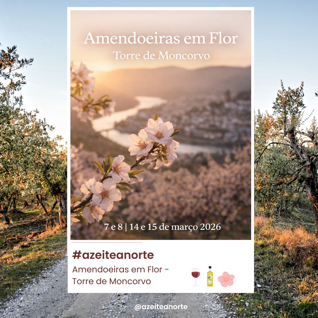 Em março, Torre de Moncorvo veste-se de branco e rosa.
As Amendoeiras em Flor 2026 regressam nos dias 7 e 8 e 14 e 15 de março, convidando a descobrir uma das paisagens mais emblemáticas do Douro Superior. Um espetáculo natural que anuncia a primavera e transforma o território num verdadeiro postal vivo.
Ao longo de dois fins de semana, a vila celebra a tradição com mercado de produtores locais, oficinas, animação musical e sabores que refletem a identidade do concelho. Amêndoa, azeite, vinho, licores, doçaria regional e artesanato dão vida à Praça Francisco António Meireles.
Destaque ainda para a aldeia de Açoreira, onde extensos amendoais se estendem com vista sobre o Douro e a Serra do Reboredo — um cenário que reforça a ligação entre natureza, património e gastronomia.
E claro, a icónica amêndoa coberta de Moncorvo, produzida artesanalmente e preservada por gerações.
Março vive-se no Norte.
Entre flores, tradição e autenticidade.
📍 Torre de Moncorvo
📅 7 e 8 | 14 e 15 de março 2026
#azeiteanorte #torredemoncorvo #amendoeirasemflor #douro #dourosuperior #norteportugal #visitdouro #turismonorte #produtosregionais #amendoa #azeiteportugues #vinhodouro #artesanatoportugues #mercadoregional #primaveraportugal #tradiçãoportuguesa #patrimonio #culturadonorte #territorio #portugalautentico #eventosportugal #festividades #saboresdonorte #descobriroportugal #naturezaportugal #serradoreboredo #riodouro #gastronomiaportuguesa #interiorportugal #portugalrural