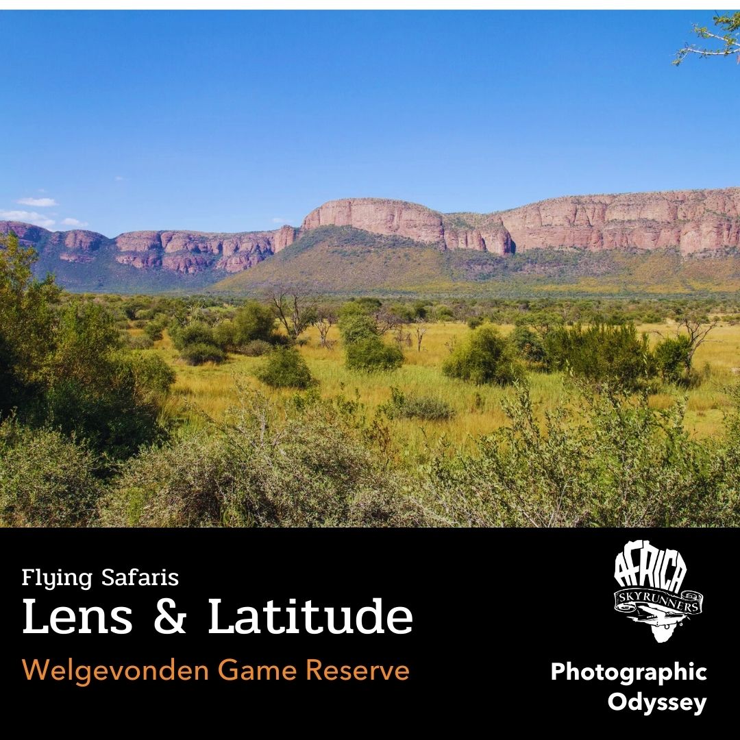 Welgevonden Game Reserve is one of those places that looks gentle from altitude, then keeps unfolding as you descend; rolling ridgelines, deep valleys, and long shadows that slide across the bush like a slow tide. It’s a ~36,000-hectare private reserve in Limpopo’s Waterberg district, set inside the Waterberg Biosphere Reserve.
For our photographic odyssey it’s a clean “golden hour” stop: broken terrain, high ground (about 1,080–1,800 m), and a sky that can shift from hard blue to soft amber in minutes, perfect if you like your photos with texture and depth, not flat horizons.
Our Lens & Latitude flying safari spans a string of South African biomes, with 10 nights in varied stays; from 5-star lodges to tents beside an airstrip in the Tankwa Karoo. The route covers Big 5 bushveld on the edge of the Kalahari in Madikwe, the rolling Waterberg hills of Welgevonden, riverine forest and floodplain systems in Pafuri (Makuleke, northern Kruger), the cultivated Stellenbosch winelands, the Atlantic coastal zone around Paternoster on the West Coast, the arid Tankwa Karoo desert, and the fynbos dunes and marine-rich coastline of De Hoop.
👉 Comment the words FLYING SAFARIS and we will send you the link via DM.
Live your dream. Fly the wild.
📞💬+27 (0)83 760 1330 📨info@africaskyrunners.com
#LensAndLatitude #PhotoSafariAfrica #WelgevondenGameReserve #CapeCoastByAir #PaternosterBeach #KarooStarfields #AfricaSkyRunners