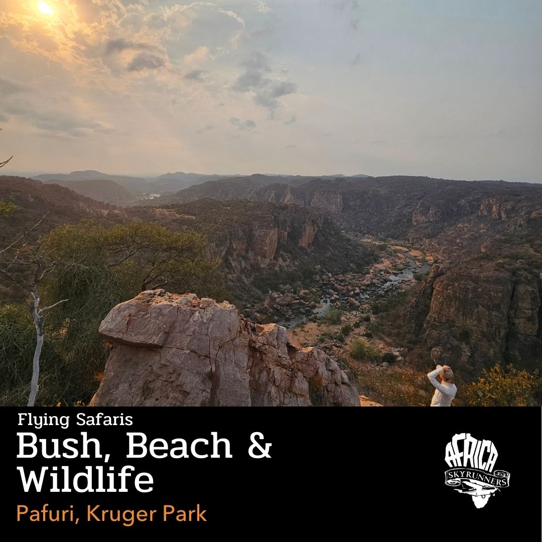 On our Bush, Beach & Wildlife (Kruger–Mozambique–Gorongosa) Flying Safari, the stop at Pafuri is where the Kruger Park feels properly wild again.
Big river systems, fever-tree forests, and that far-north quiet you don’t get in the busier zones.
A key local highlight: the Luvuvhu River bridge area is one of the most accessible places in the region to spot the elusive Pel's Fishing-Owl, often around twilight near deeper pools.
Add a quick run out to Crooks Corner, where the Limpopo River meets the Luvuvhu, and you’ve got scenery that looks like it was designed for low-level sightseeing, not a map.
Bush, Beach, Wildlife flying safari. Africa at its most real.
👉 https://bit.ly/flysafaris
Book 📞💬+27 (0)83 760 1330 📨info@africaskyrunners.com
#AfricaSkyRunners #FlyingSafari #AirSafariAdventure #WingsOverAfrica #ExploreFromAbove