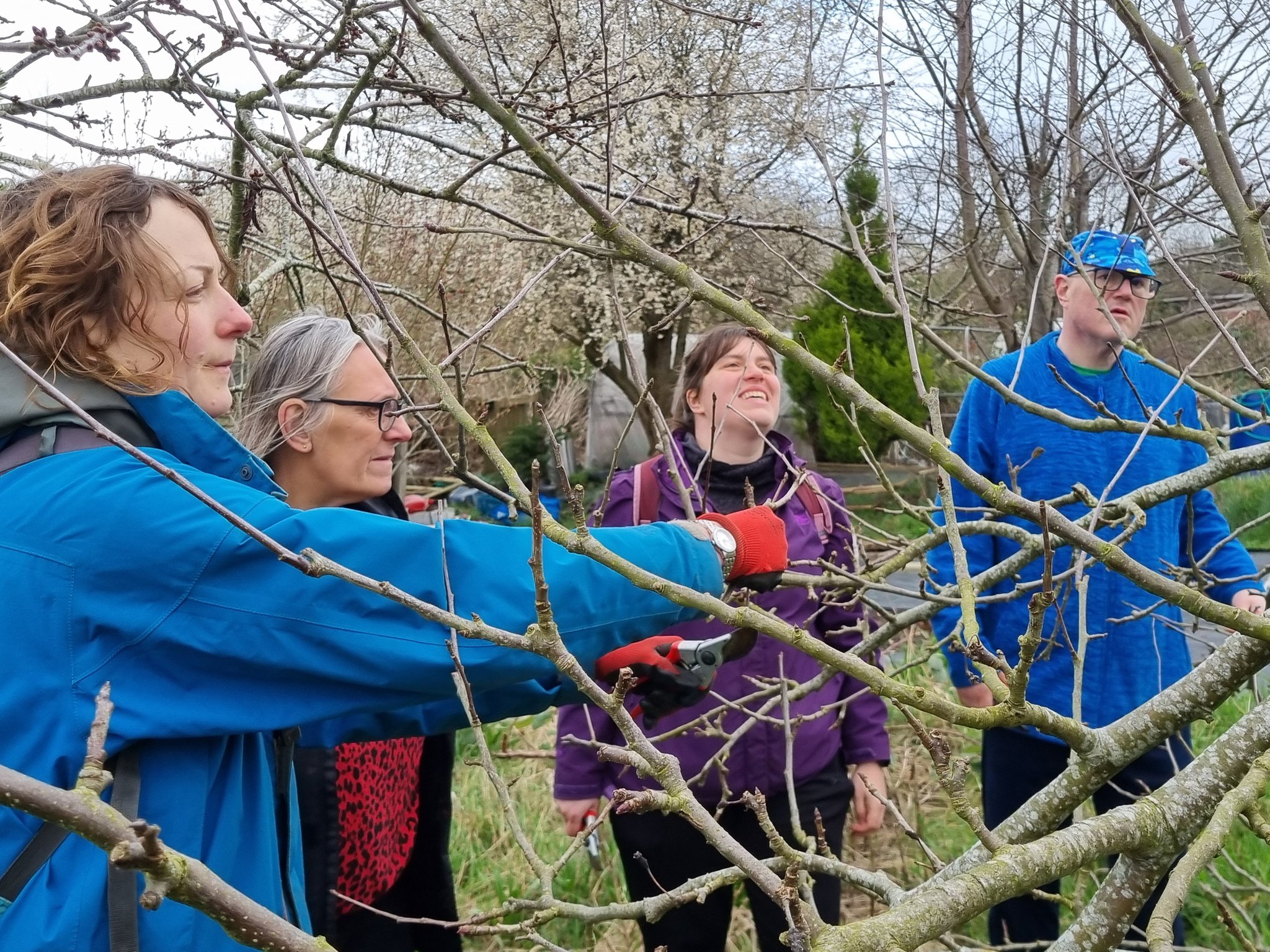 We've completed our triple orchard #WinterPruning workshop at @hazelwellallotments #Orchards in #Stirchley. Thank you for the visit #KamelHawash.