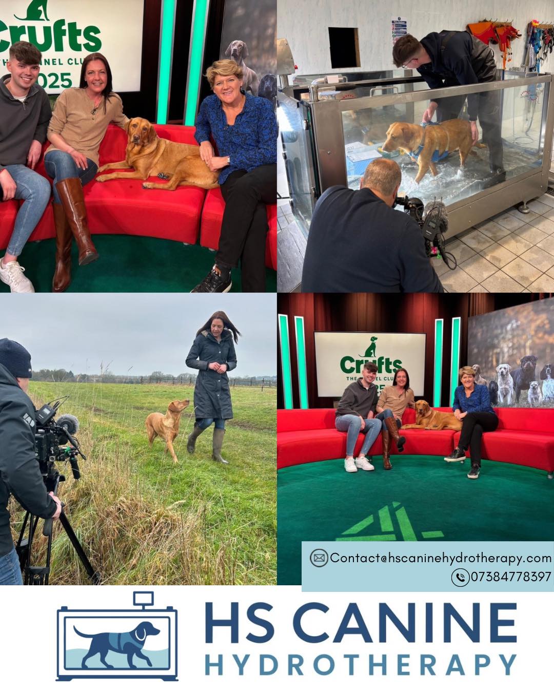 With Crufts just around the corner we wanted to re highlight a very special moment from last year. 🌟
We were incredibly proud to be invited up for a live interview with Sienna and her owner to talk about her spinal surgery recovery and how well she had progressed through her hydrotherapy journey with us. Seeing her confidence strength and movement improve after such a major operation was amazing and being able to share that story at Crufts made it even more special.
Hydrotherapy is also fantastic for fitness and competition dogs. Our underwater treadmill allows us to work on speed training and gait training in a controlled environment. By adjusting the water level we can use the natural properties of water such as buoyancy and resistance to improve strength endurance and overall movement quality. It is a brilliant way to build fitness while reducing impact on the joints which is especially important for agility and flyball dogs. 🐶
We will be heading up on the Thursday for the day and cannot wait to support everyone involved.
Good luck to all of our clients who are competing this year. We have one client taking part in the doubles agility and another running their flyball team and we will be cheering you all on every step of the way 🐾💙
