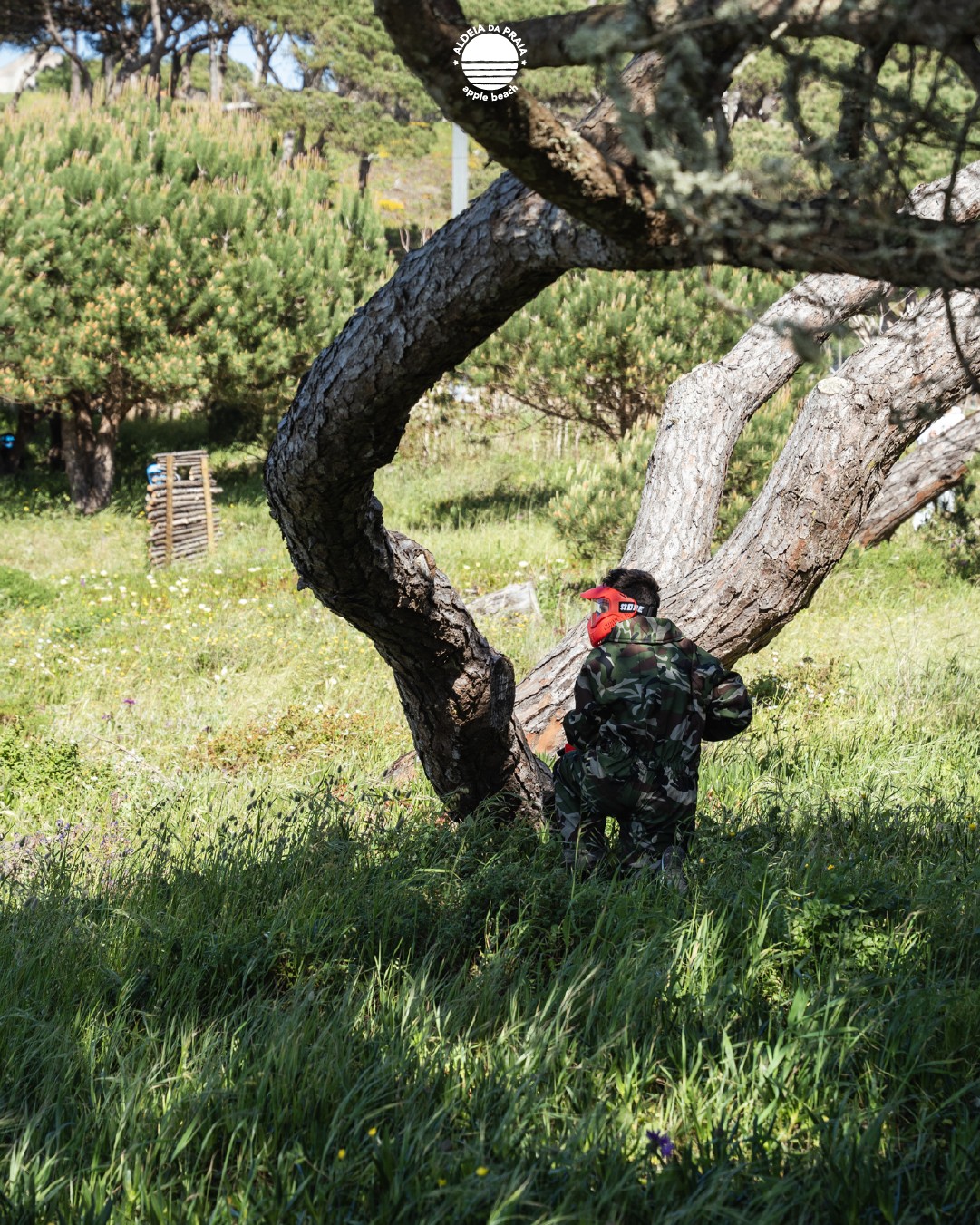 🇵🇹 Adrenalina leve, gargalhadas soltas e memórias aos salpicos.
Paintball na Aldeia para crianças dos 8 aos 15.
O jogo está lançado, só faltas tu.
🇬🇧 Light adrenaline, loud laughs and splashes of memories.
Paintball at Aldeia — for kids aged 8 to 15.
Game’s on, just waiting on you.
#AldeiaDaPraia #PaintballAldeia #MiúdosComEnergia #AtividadesInfantis