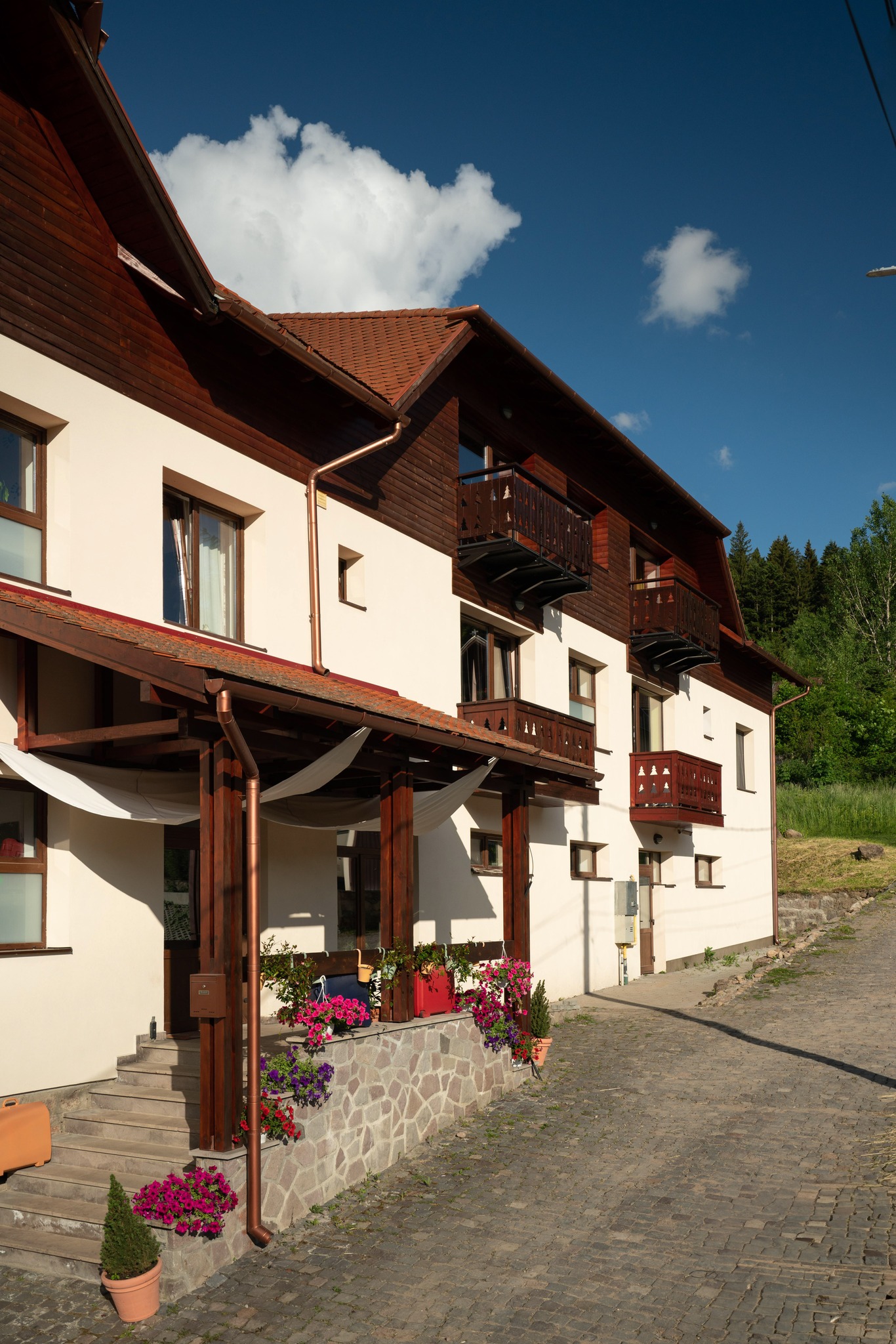 Înconjurat de munți și pădure, Arte oferă acea liniște profundă pe care orașul nu o poate oferi. Diminețile sunt clare, aerul e rece și curat, iar serile aduc un calm care te face să încetinești. Este locul unde natura devine parte din experiență.
.
.
#Munți #NatureEscape #Tușnad #VisitHarghita #MountainVibes #RelaxInNature #RomaniaNature #GetawayRomania #FreshAir #ArteBoutiqueRooms