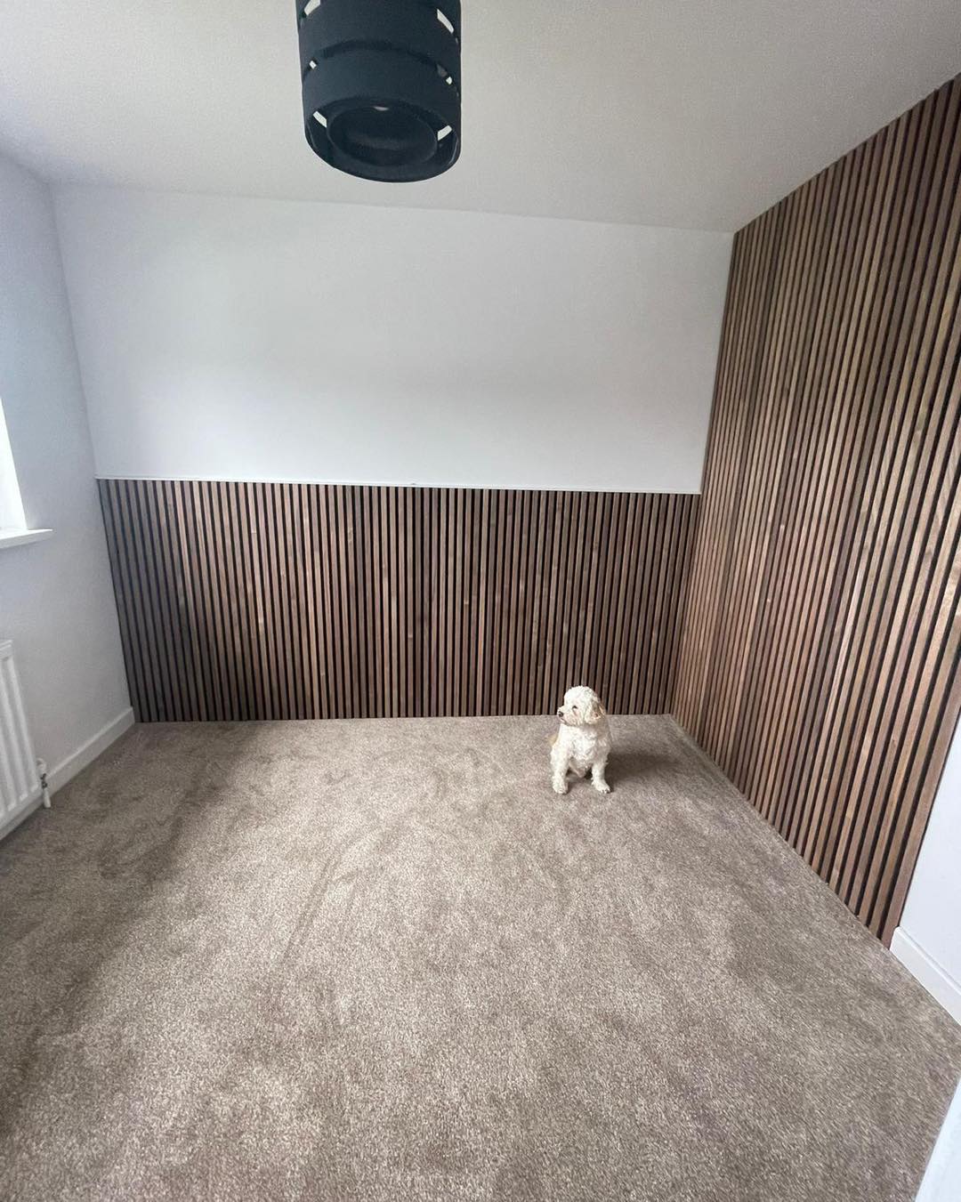 The first install of our new acoustic wall panels
How nice are these?
Only £50 per panel
Available in walnut, oak, grey and black