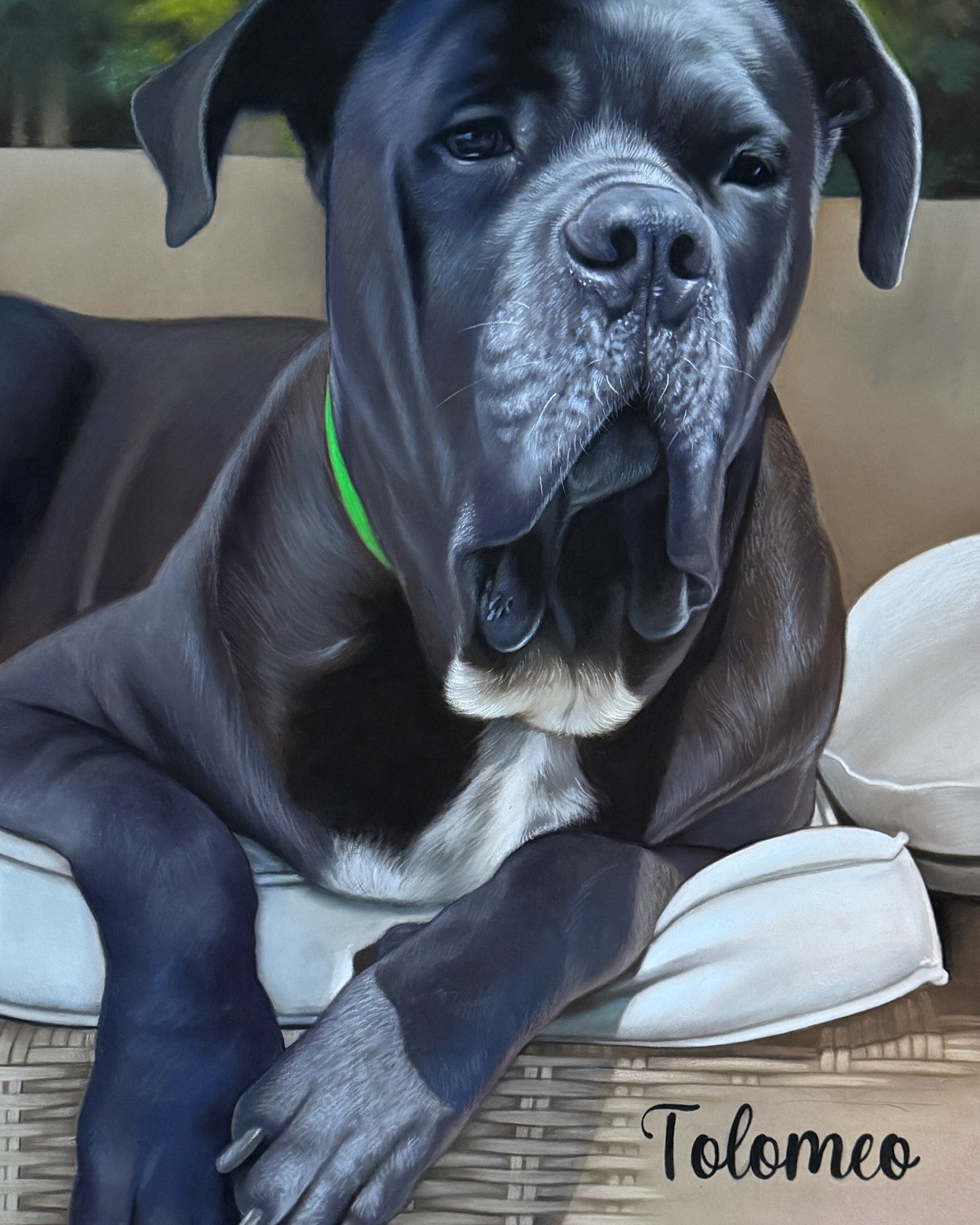 Ci sono disegni che richiedono tempo, silenzio e molta attenzione.
Questo è il work in progress del ritratto di Tolomeo, realizzato su commissione per la sua famiglia. 🐾
Quando un animale che abbiamo amato non c’è più, il ricordo diventa qualcosa di prezioso.Ogni tratto di questo disegno è stato un modo per cercare di riportare sulla carta il suo sguardo e la sua presenza.
L’arte a volte può fare questo:
custodire una memoria e renderla visibile ogni giorno. 💛
Grazie all'affettuosa padrona @eleverest_tolo per avermi concesso di pubblicare questo ritratto.
#petportraitcommission
#petportraitprocess
#memorialportrait
#graphitepetportrait
#petportraitdrawing