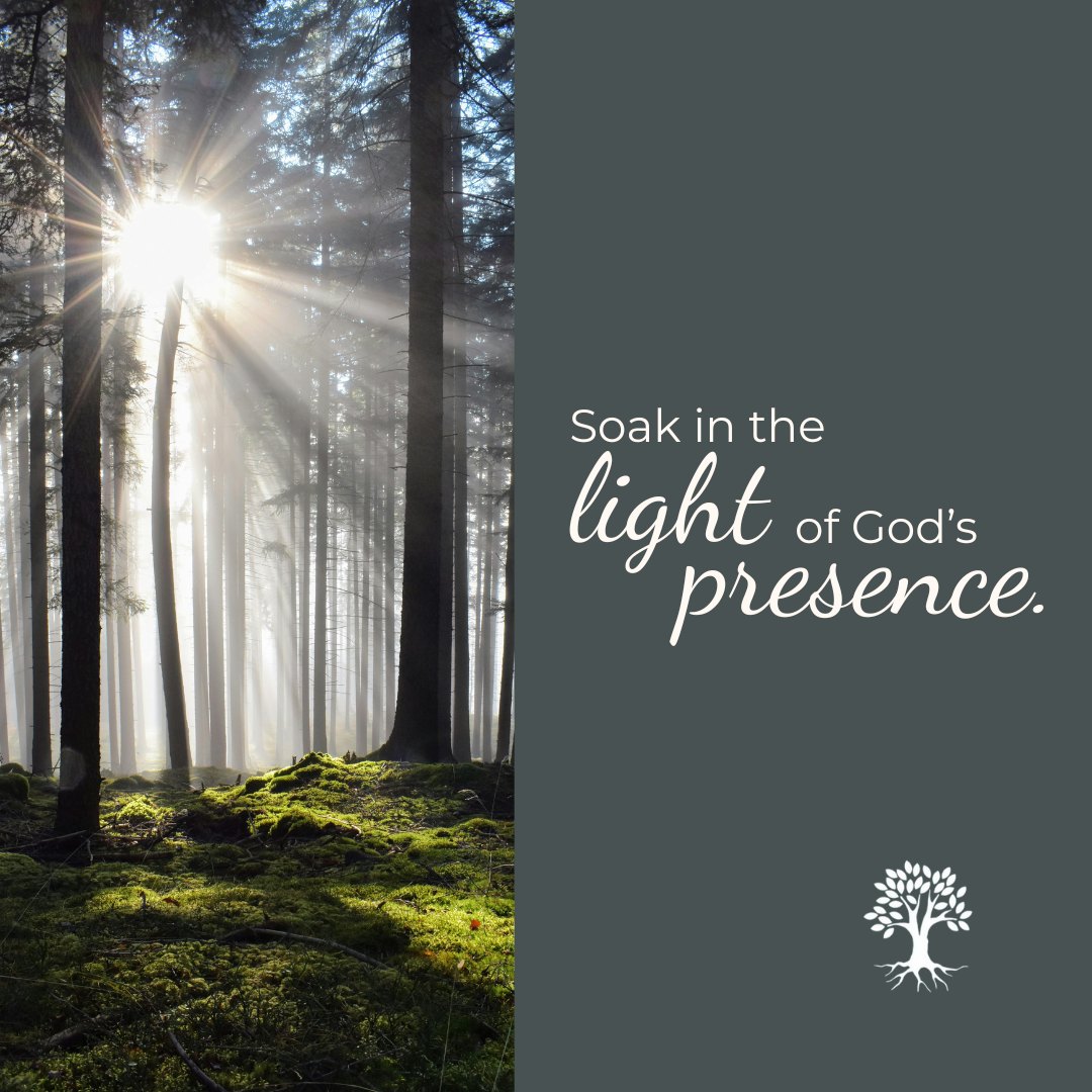 As the days get longer, let the light remind you that God’s presence is constant. Even when our schedules shift, His guidance remains steady. Take a moment today to soak in the light and breathe in His peace.
#ChristianCounseling
#RootedHopeCounseling
#GodIsLight
#NatureHeals
#SunlightAndPeace
#TrustHisTiming
#MindfulFaith