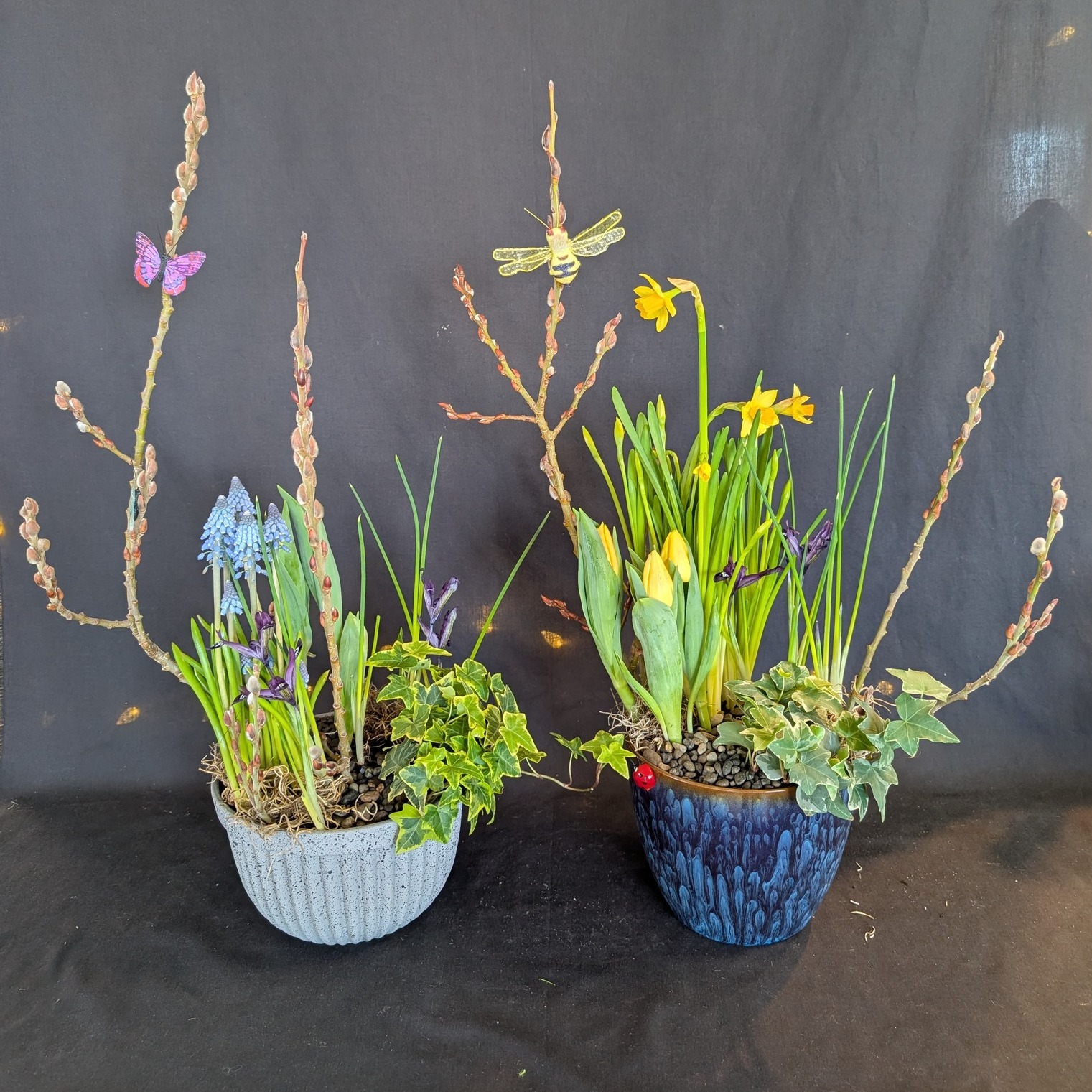 Spring is blooming at Apple Blossom Floral! We have a beautiful variety of planted bulb gardens available, featuring vibrant tulips, daffodils, irises, and hyacinths that will add a pop of color to any space. ๐ธโจ
#pastel #AppleBlossomFloral #livinggarden #plantlife #springvibes #garden #blossoms #pleasing #wenatchee