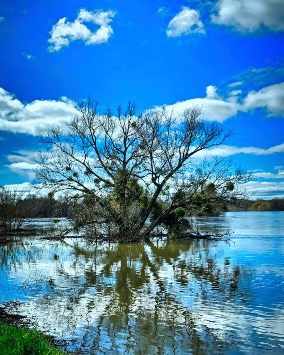 Photodump de février 🎞️
1. L'arbre qui voulait être une île
2. La Tour Jacquemart à Moulins-sur-Allier
3. Balade sur le chemin de halage à Roanne
4. L'heure bleue sur la Loire
Et vous, votre mois de février ?
#Loireenvie #photodump #Loire #LoireValley #Bourgogne #Allier #Nievre #ArchitectureLovers #MonthlyRecap #NatureLovers
📷Merci @nathrenoux / @thibaut_slt / @villederoanne