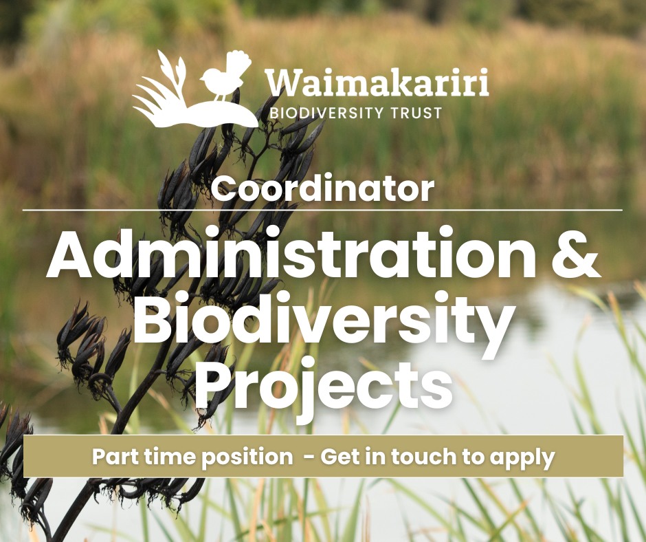 The Waimakariri Biodiversity Trust is seeking a new part-time co-ordinator working up to 20 hours-a-week to help deliver its vision of vibrant, healthy indigenous ecosystems across the Waimakariri District.
The trust provides free information, education, resources and advice through events, its website, newsletters and social media plus helps property owners with native revegetation, protection and enhancement.
If you have local ecological knowledge, administration and project management experience, great interpersonal skills and a desire to make a difference in enhancing biodiversity across the Waimakariri District, then the Waimakariri Biodiversity Trust is keen to hear from you.
This is a contract position for an initial six-month period.
For further information and a position description email: chair@wbt.org.nz with your resume.