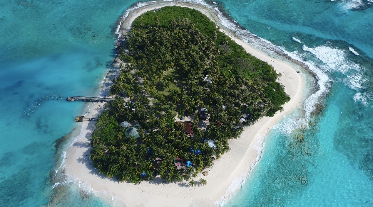 🌴 Antes de visitar Johnny Cay, hay cosas que debes saber.
Horarios, recomendaciones y claves para disfrutar este icónico cayo de San Andrés mientras ayudamos a proteger su belleza natural.
Lee la nota completa 👇
🔗 Link en bio.
#JohnnyCay #SanAndrés #ReservaSeaflower #TurismoSostenible #CaribeColombiano #GuíaParadise
